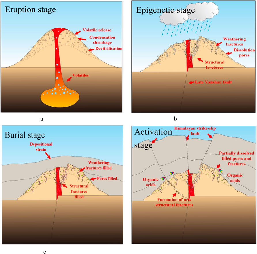 Four-panel diagram illustrating geological stages:1. Eruption Stage: Volatiles rise through magma, with condensation, shrinkage, and devitrification. 2. Epigenetic Stage: Weathering and dissolution create fractures, with rain depicted. 3. Burial Stage: Depositional strata cover filled fractures and pores. 4. Activation Stage: Himalayan strike-slip fault causes new fractures and dissolves filled pores, with organic acids present.