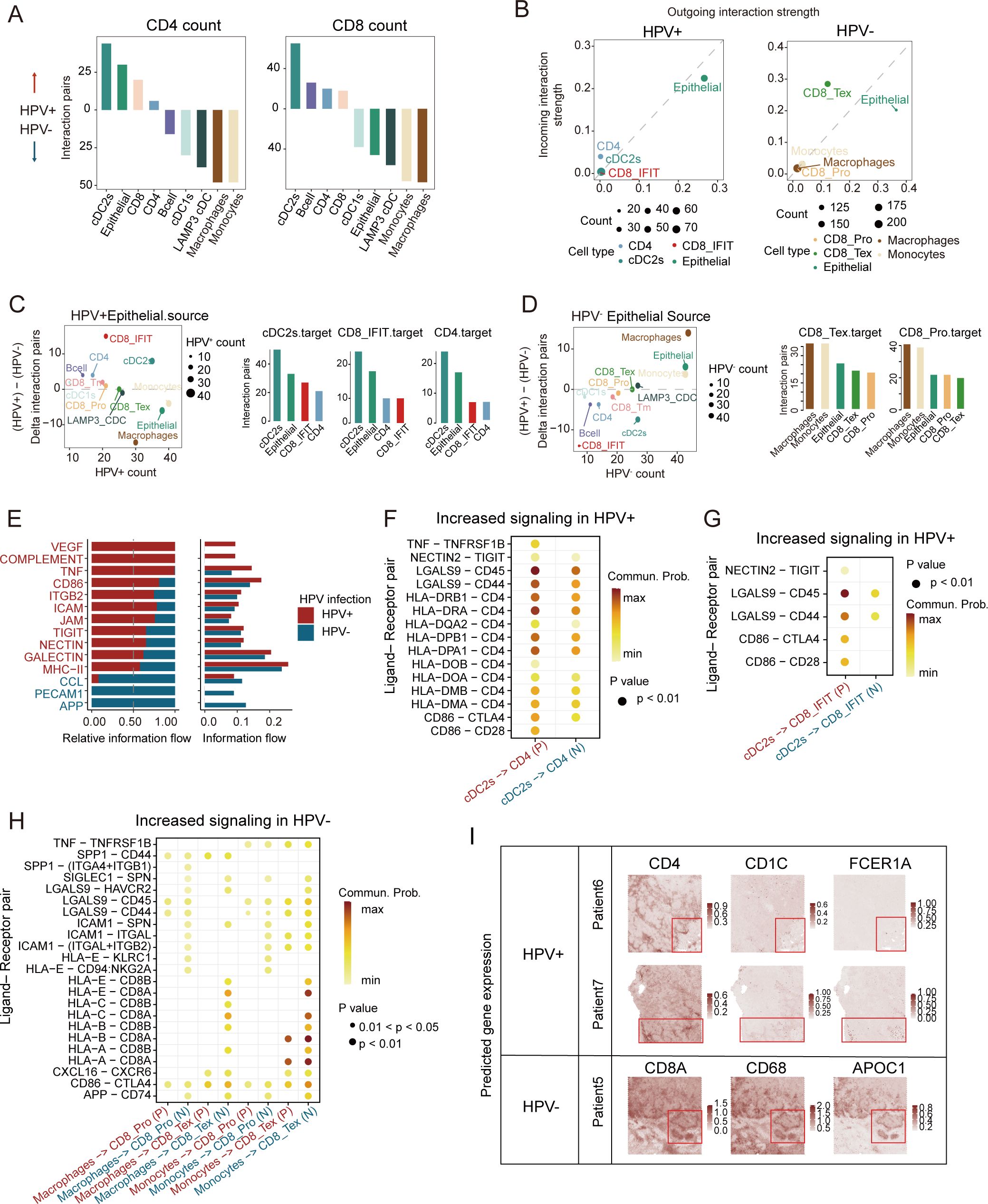 Various data visualizations comparing HPV-positive and HPVnegative samples are included. A: Bar plots depicting interaction intensities between major cell types and CD4⁺ T cells /CD8⁺ T cells. B: Scatter plots of all cell clusters, mapped by the count of their significant incoming and outgoing signaling patterns. C: Combination of scatter plots and bar graphs depicting HPV count differences and specific cell interactions. D: Plots of differences in epithelial sources and target interactions. E: Bar charts of relative information flow in increased signaling pathways. F and G: Dot plots of increased signaling pathways in HPV-positive samples with color scales for communication probability and significance. H: Additional dot plot for various signaling pathways with similar metrics. I: Immunohistochemistry images from patients displaying CD4, CD1C, FCER1A in HPV-positive, and CD8A, CD68, APOC1 in HPV-negative samples, with detailed insets.