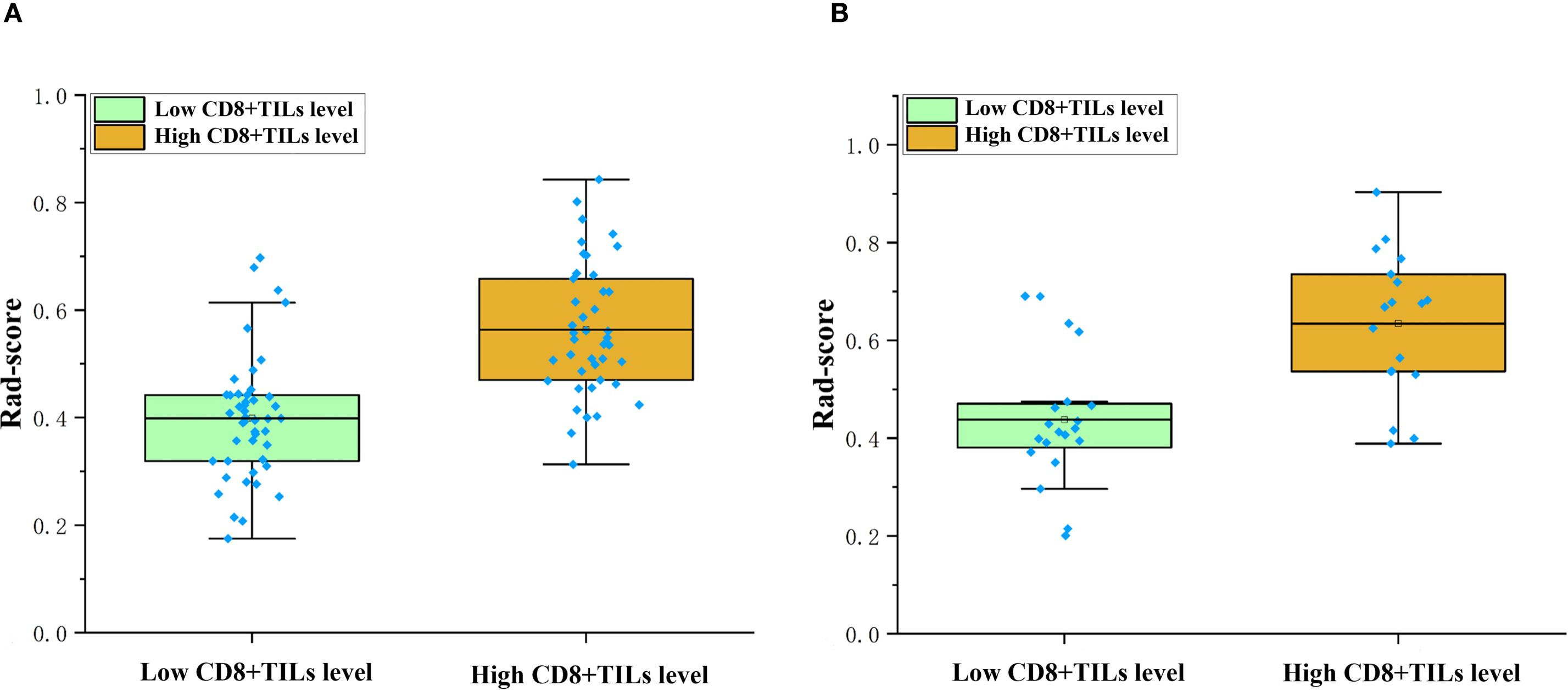 Two box plots labeled A and B compare Rad-scores between low and high CD8+ TILs levels.