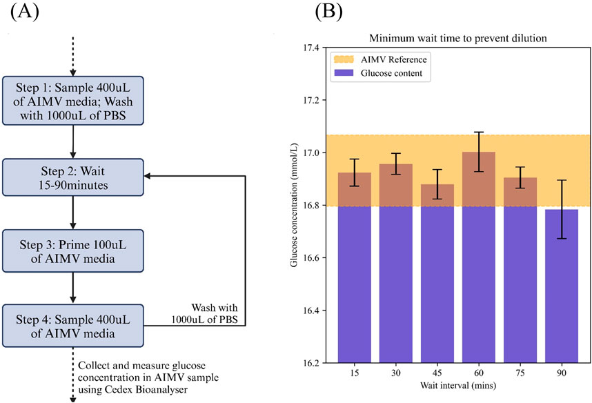 Flowchart and bar graph depicting a glucose measurement process. (A) The flowchart shows four steps: sample 400 microliters of AIMV media and wash with 1000 microliters of PBS, wait 15-90 minutes, prime 100 microliters of AIMV media, and sample 400 microliters of AIMV media. The procedure includes collecting and measuring glucose concentration using a Cedex Bioanalyser. (B) The bar graph illustrates glucose concentration (mmol/L) over different wait intervals (15 to 90 minutes), with AIMV reference levels. Glucose content remains within AIMV reference, peaking at 60 minutes. Error bars indicate variation.