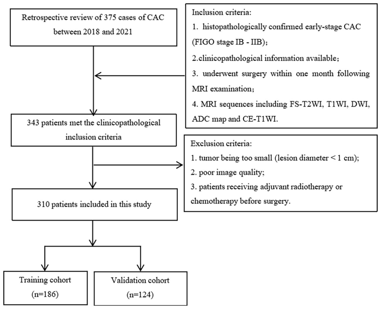 Flowchart detailing the selection process for a study on 375 cases of CAC from 2018 to 2021. Inclusion criteria include confirmed early-stage CAC and specific MRI sequences. Exclusion criteria include small tumor size, poor image quality, and prior treatment. Of 375 cases, 343 met the criteria, with 310 included in the study. These were further divided into a training cohort of 186 and a validation cohort of 124.