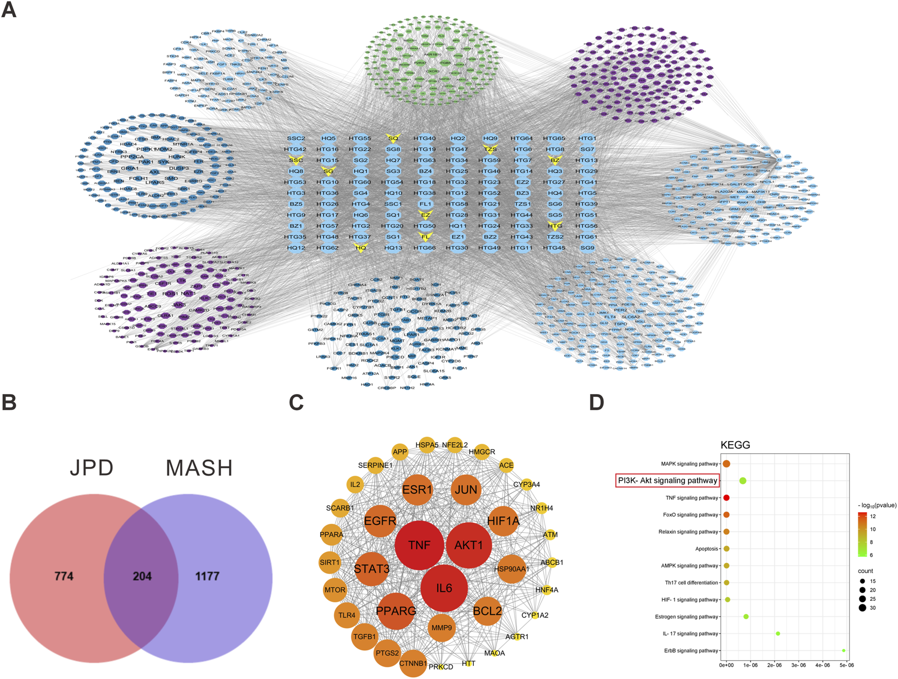 Panel A displays a complex network diagram with interconnected nodes, grouped by color, likely representing relationships or interactions. Panel B features a Venn diagram comparing two groups, JPD and MASH, with overlapping numbers. Panel C is a radial chart showing key central nodes like TNF, linked to other nodes, illustrating their importance. Panel D is a KEGG pathway analysis dot plot, highlighting pathways such as the PI3K-Akt signaling pathway, with points varying in color and size to indicate significance and count.