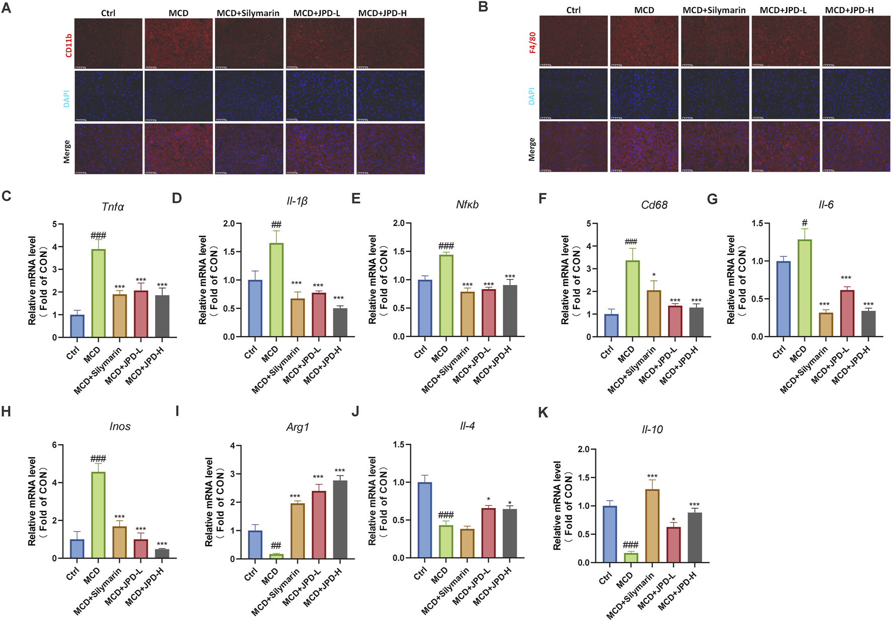Panel A shows immunofluorescence images of CD11b and DAPI staining across different treatment groups. Panel B presents similar images for F4/80 and DAPI staining. Panels C to K display bar graphs illustrating relative mRNA levels for Tnfa, Il-1β, Nfkb, Cd68, Il-6, Inos, Arg1, Il-4, and Il-10. Each graph compares expression across control, MCD, MCD plus silymarin, MCD plus JPD-L, and MCD plus JPD-H groups, with statistical significance indicated by asterisks.