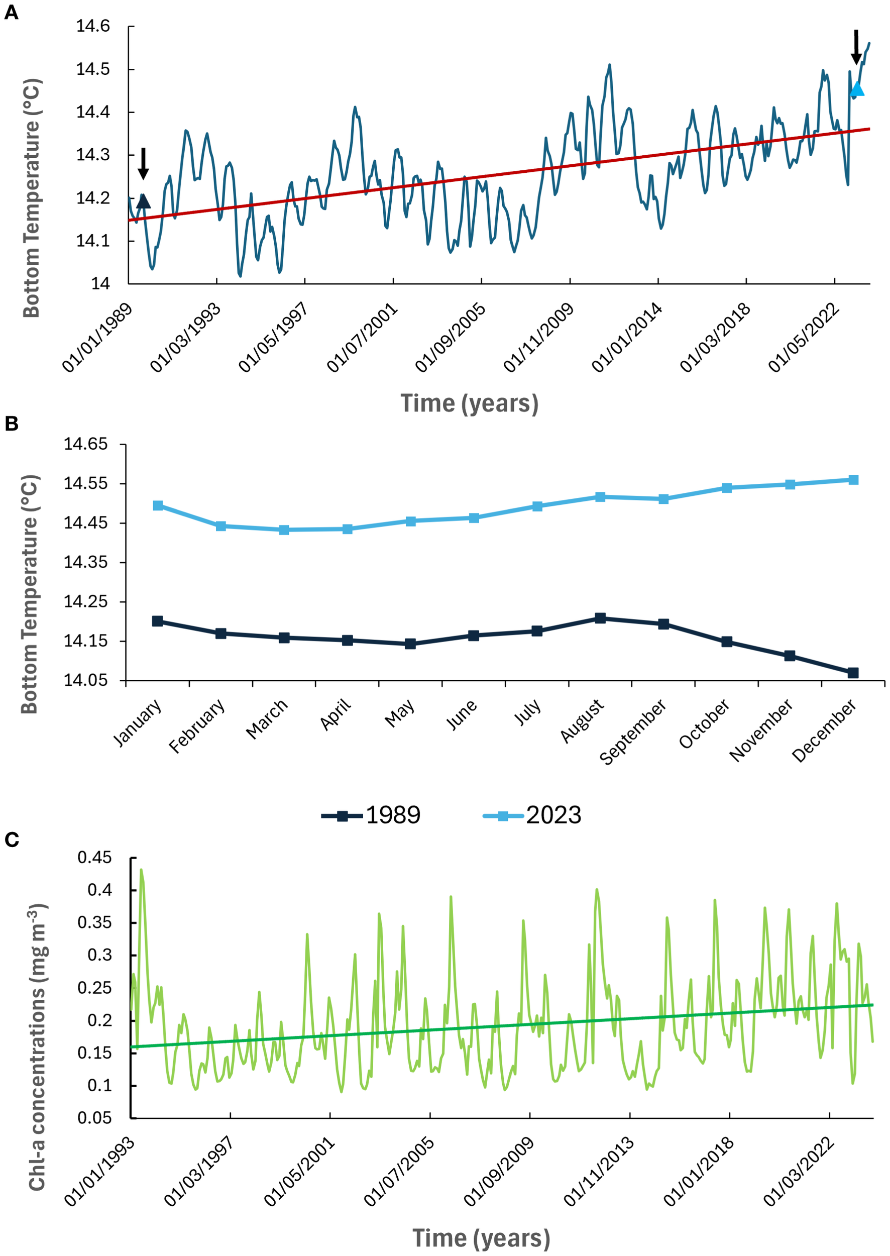 Three graphs illustrate temperature and chlorophyll-a trends. The first graph shows an increase in bottom temperature from 1989 to 2022, with fluctuations around a rising trend line. The second graph compares monthly bottom temperatures for 1989 and 2023, indicating higher temperatures in 2023. The third graph depicts chlorophyll-a concentrations from 1993 to 2022, showing fluctuations with a slight upward trend.