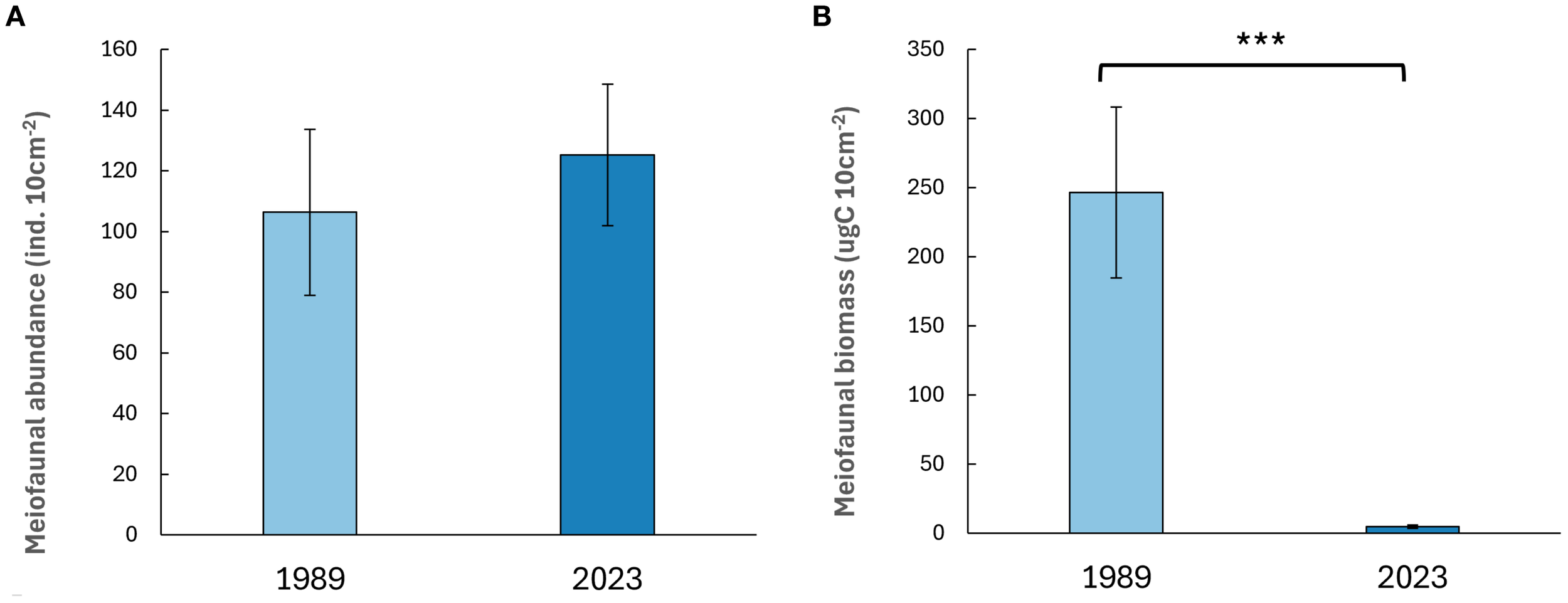 Bar graphs showing meiofaunal abundance and biomass in 1989 and 2023. The left graph shows similar abundance levels for both years. The right graph shows a significant decrease in biomass from 1989 to 2023. Error bars are present, and the significance is indicated by asterisks.
