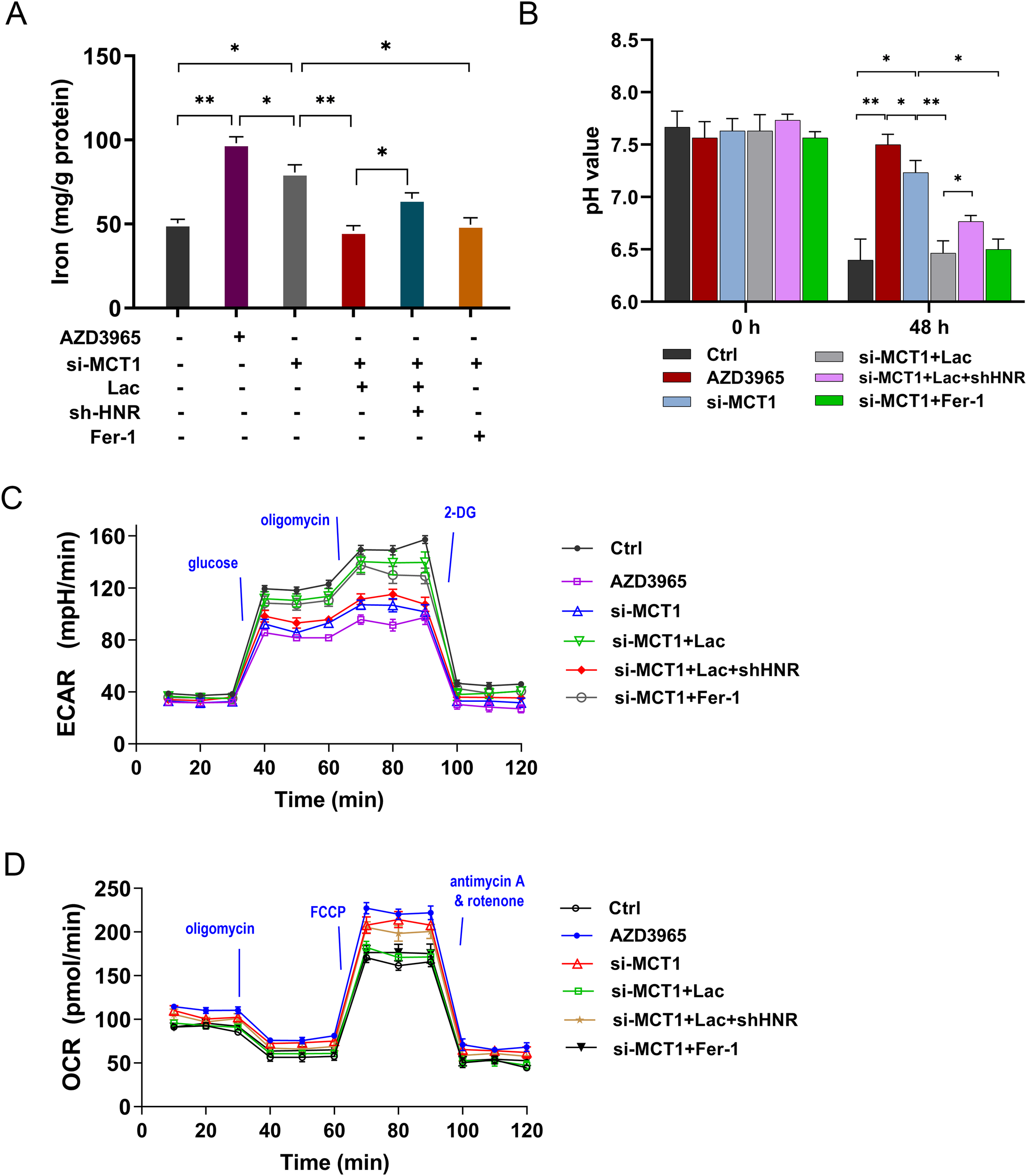 Four-panel scientific chart showing: A) Bar graph of iron content in mg/g protein for various treatments, with asterisks indicating statistical significance between groups. B) Bar graph of pH values over 0 and 48 hours for different treatments, with significance marked. C) Line graph of ECAR (mpH/min) over time, showing response to glucose, oligomycin, and 2-DG for various conditions. D) Line graph of OCR (pmol/min) over time, displaying response to oligomycin, FCCP, antimycin A, and rotenone for different treatments. Each graph includes a legend for the experimental conditions.