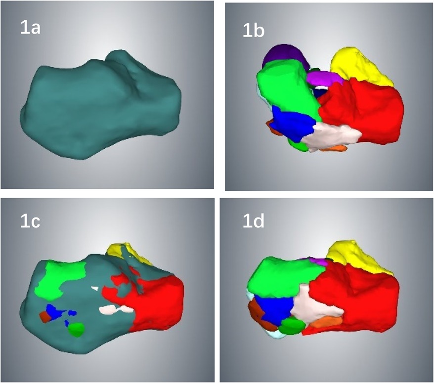 Panel 1a shows a plain teal 3D shape. Panel 1b presents a segmented 3D shape with multiple colors, including purple, green, blue, red, white, orange, and yellow. Panel 1c depicts a similar shape with teal as the base color, overlaid by red, yellow, green, white, blue, and brown segments. Panel 1d features a shape colored predominantly red, green, yellow, blue, and other colors, representing further segmentation.