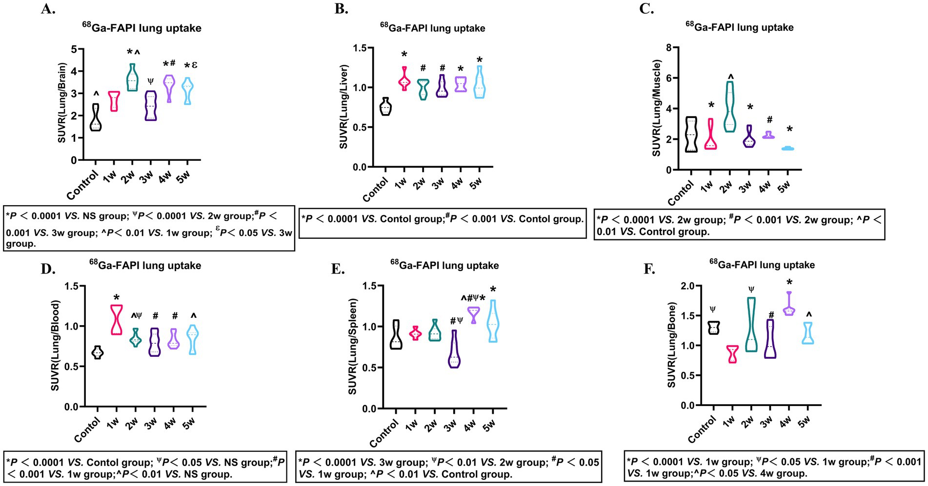 Violin plots illustrate the uptake of ^68Ga-FAPI in lung tissue across different weeks (1w to 5w) compared to the control group. Six plots (A to F) show standardized uptake values (SUVR) ratios for lung/brain, lung/liver, lung/muscle, lung/blood, lung/spleen, and lung/bone. Plots display variations and significance levels, highlighted with symbols such as asterisks and others, indicating different levels of significance between groups, as noted in the accompanying legends below each plot.