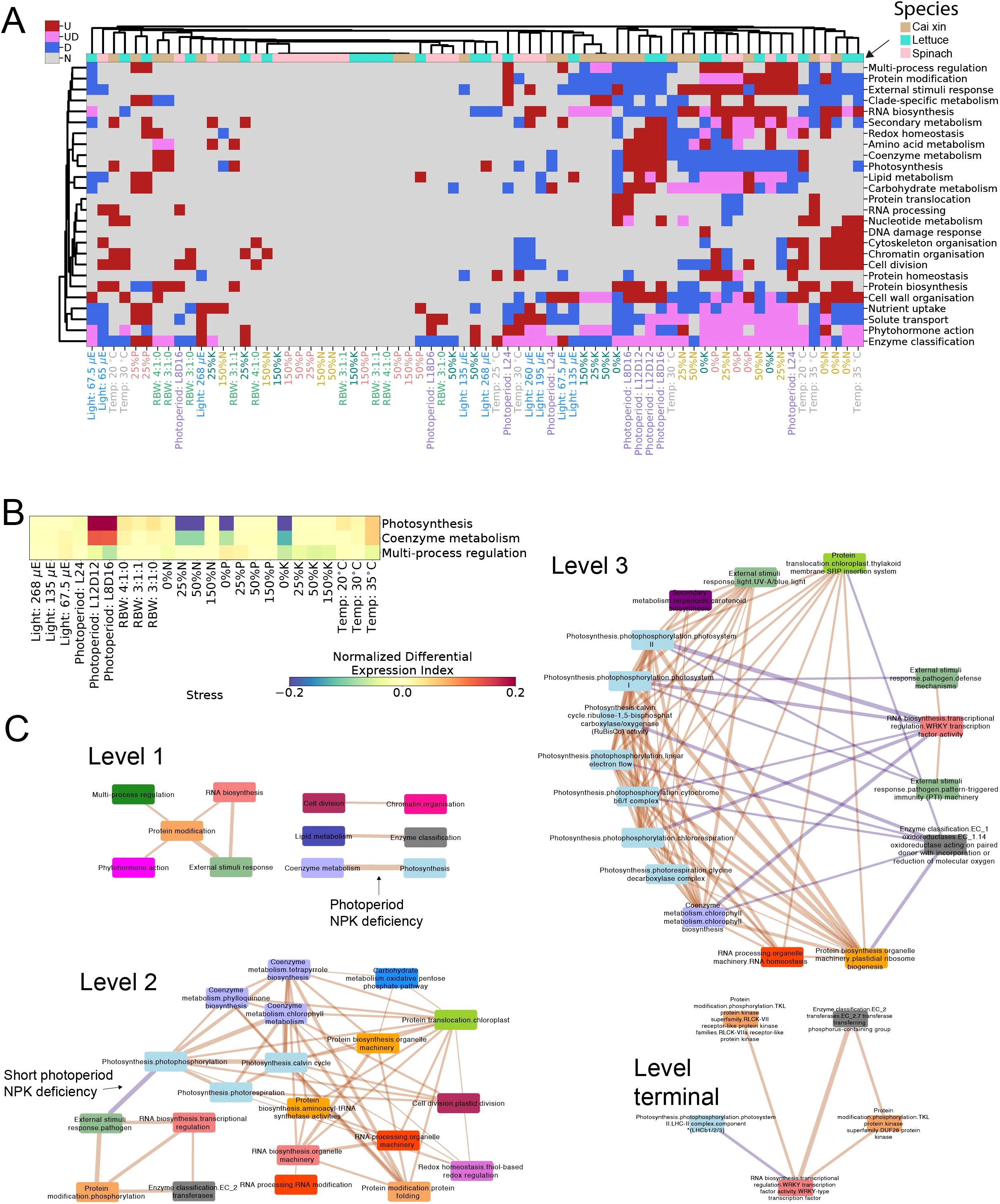 A multi-panel image showing a heatmap, a level chart, and a network diagram related to plant species and metabolic processes. Panel A displays a heatmap with colored boxes representing normalized differential expression indices across various species and processes. Panel B provides a legend for the heatmap, indicating stress levels and metabolic categories like photosynthesis and coenzyme metabolism. Panel C illustrates network diagrams across different levels, depicting connections between processes such as photoperiod, NPK deficiency, and cellular activities, marked with varied colors to denote distinct functions.