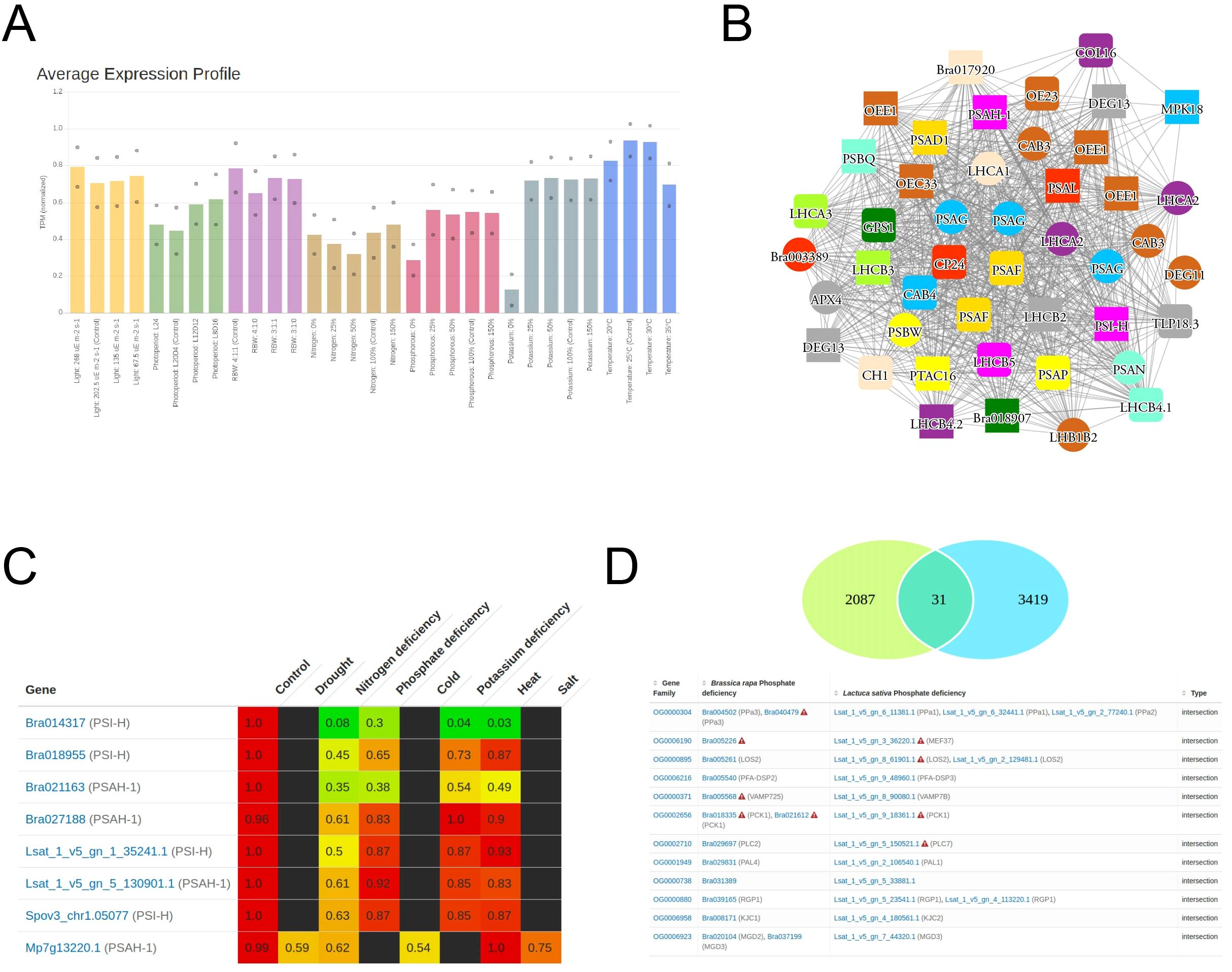Panel A shows a bar graph illustrating average expression profiles with varied colored bars. Panel B features a complex gene network diagram with interconnected labeled nodes. Panel C is a heatmap with genes and varying colors indicating responses to different conditions like drought and heat. Panel D presents a Venn diagram with overlapping circles showing gene intersections between two species, accompanied by a list detailing gene families and types.