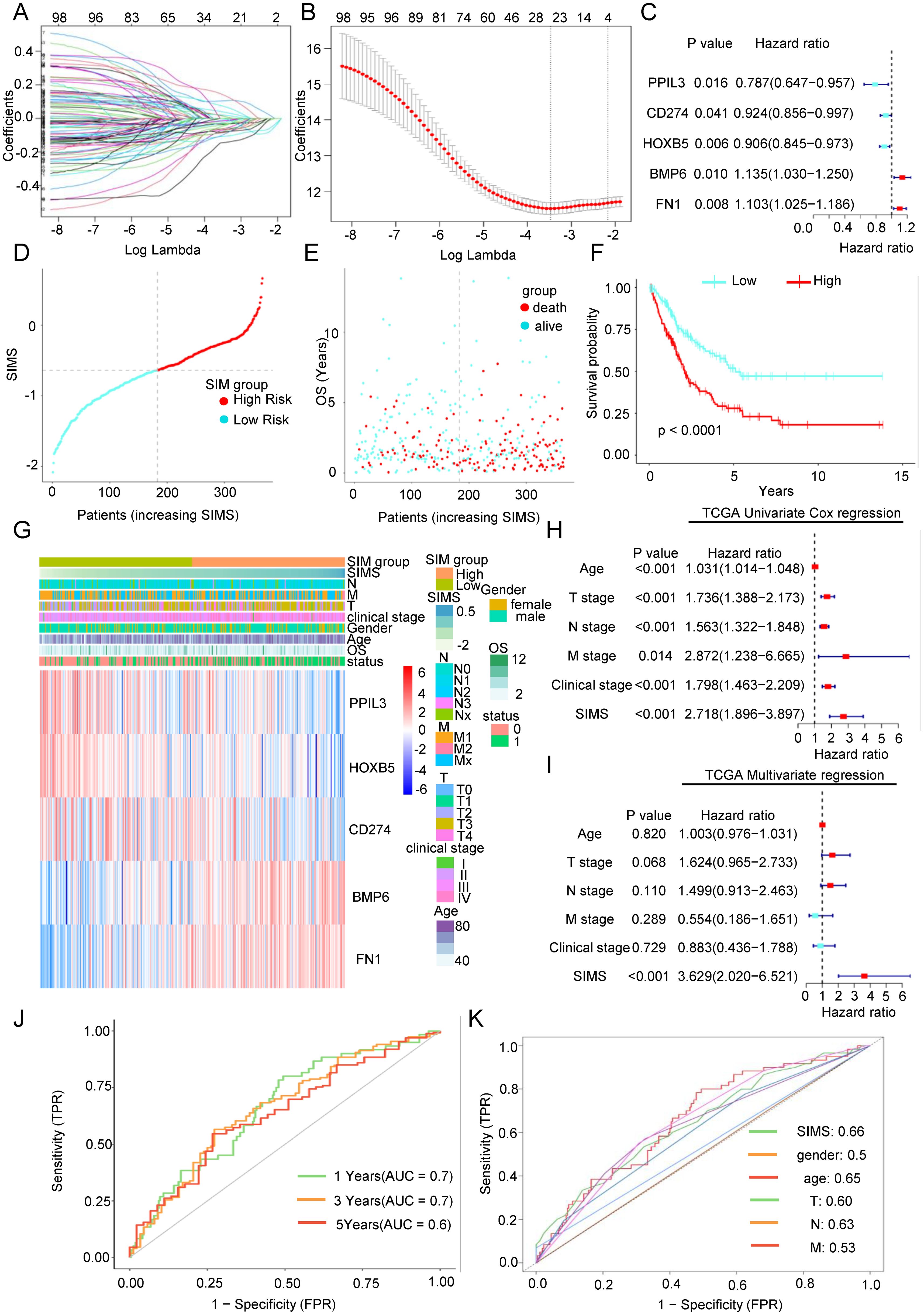 An array of charts and graphs related to a study on survival prediction and risk stratification. Panel A shows a plot of coefficients vs. log lambda. Panel B depicts a cross-validation plot for model tuning. C includes a forest plot with hazard ratios for various genes. D features a plot of SIM scores with high-risk and low-risk groups. E is a scatter plot of overall survival by patient SIM scores. F displays a Kaplan-Meier survival curve. G presents a clustered heatmap of gene expression and clinical data. H and I show Cox regression analyses. J and K are ROC curves evaluating prediction accuracy over time.