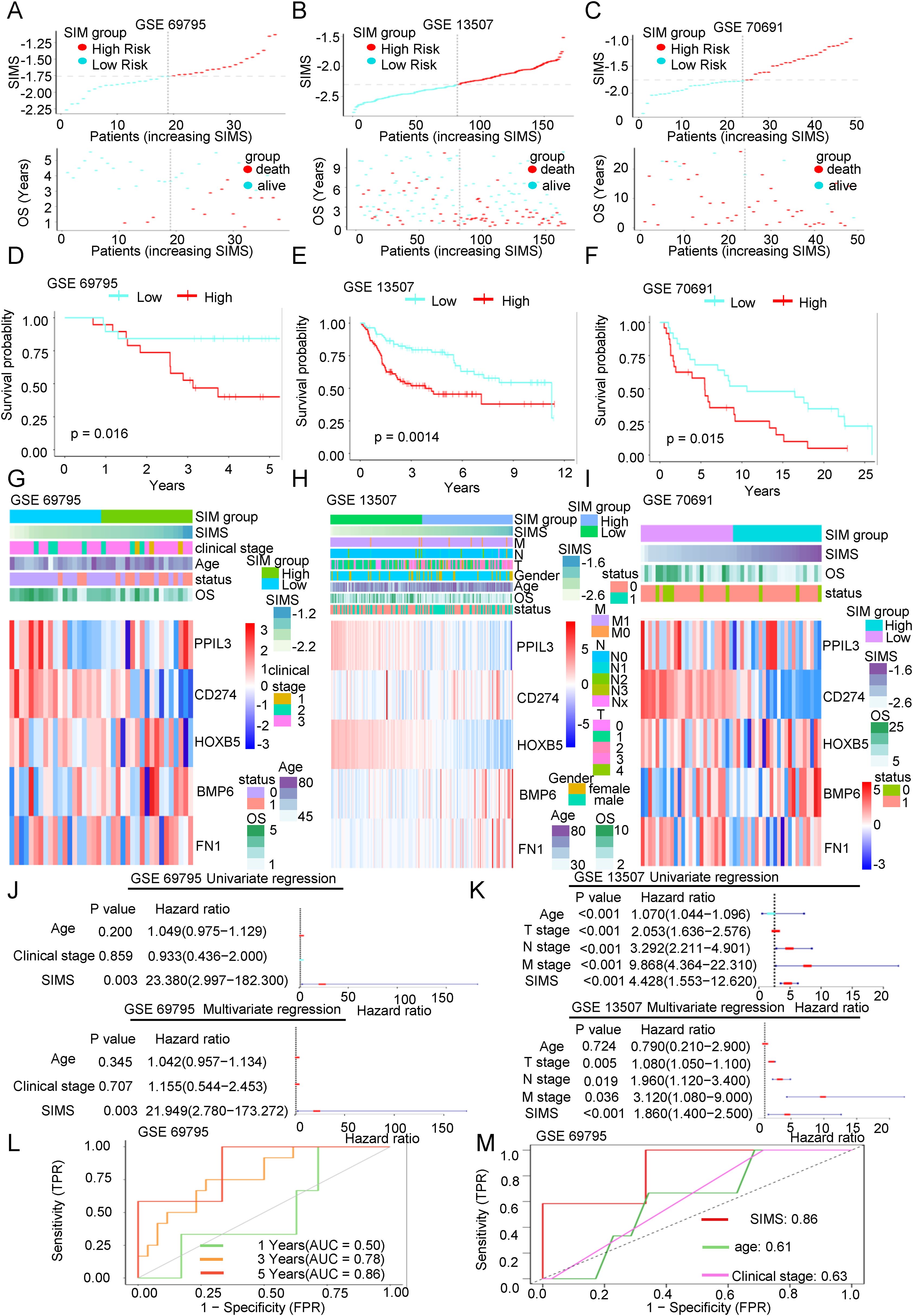 The image consists of multiple panels showing analyses of GSE datasets related to survival prediction and risk assessment. Panels A to F display scatter plots and survival curves distinguishing high and low-risk SIM groups based on SIMS and OS data. Panels G to I depict heatmaps illustrating clinical features and gene expressions, including PPIL3, CD274, HOXB5, BMP6, and FN1. Panels J and K present tables and plots of univariate and multivariate regression analyses, highlighting hazard ratios and p-values for factors like age, clinical stage, and SIMS. Panels L and M are ROC curves outlining the predictive accuracy of SIMS, age, and clinical stage over different years.