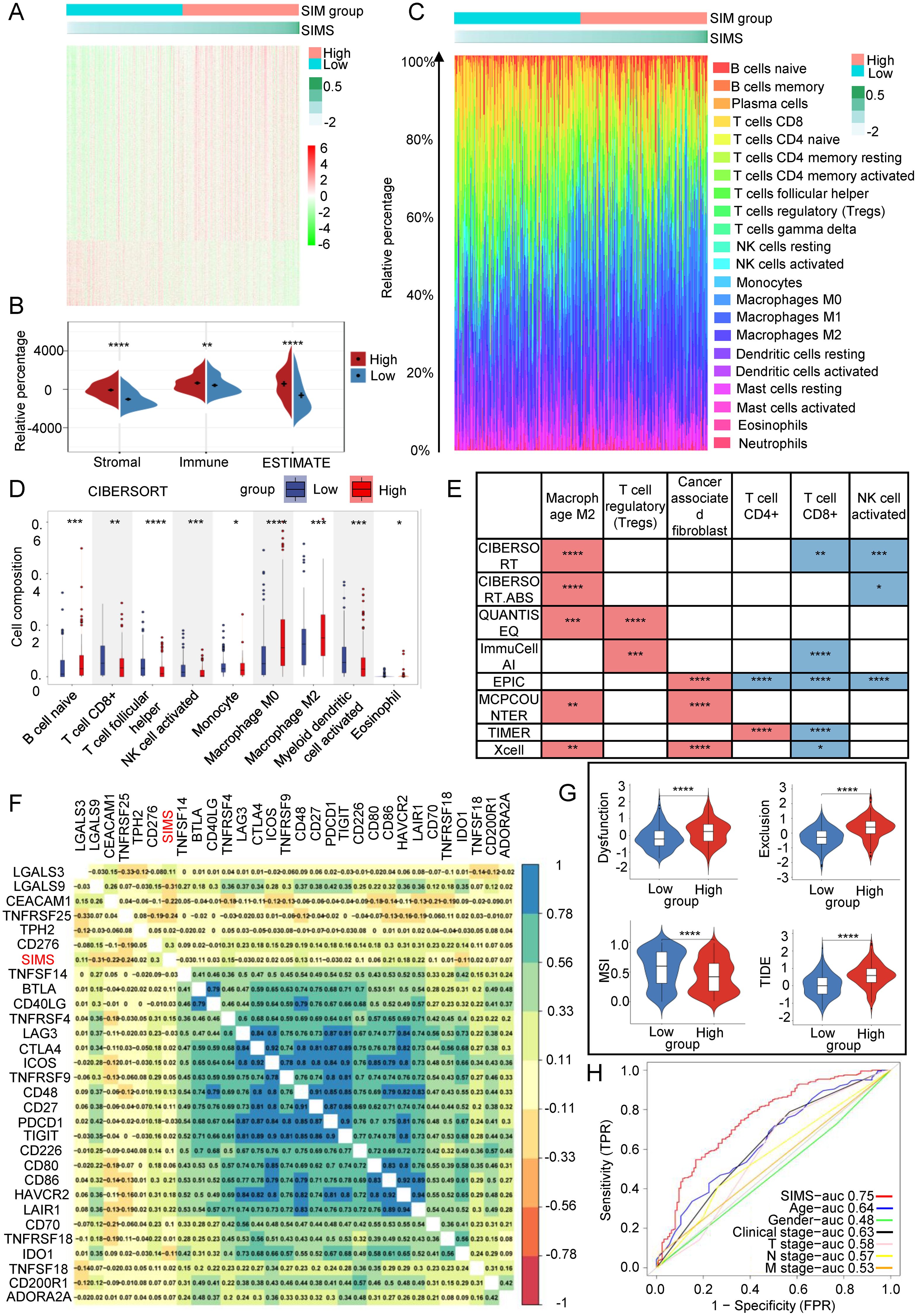 Multiple panels present a complex analysis of immune-related data. Panel A: Heatmap showing expression levels across samples, categorized by SIMM group. Panel B: Violin plots of stromal, immune, and ESTIMATE scores comparing high and low groups. Panel C: Bar plot showing the relative percentage of various immune cells, colored by type. Panel D: Box plots showing cell composition for different cell types comparing groups. Panel E: Heatmap illustrating significant associations between cell types and conditions. Panel F: Correlation matrix of gene expressions with a color gradient. Panel G: Violin plots comparing dysfunction and exclusion in groups. Panel H: ROC curves displaying sensitivity and specificity for different predictive models.