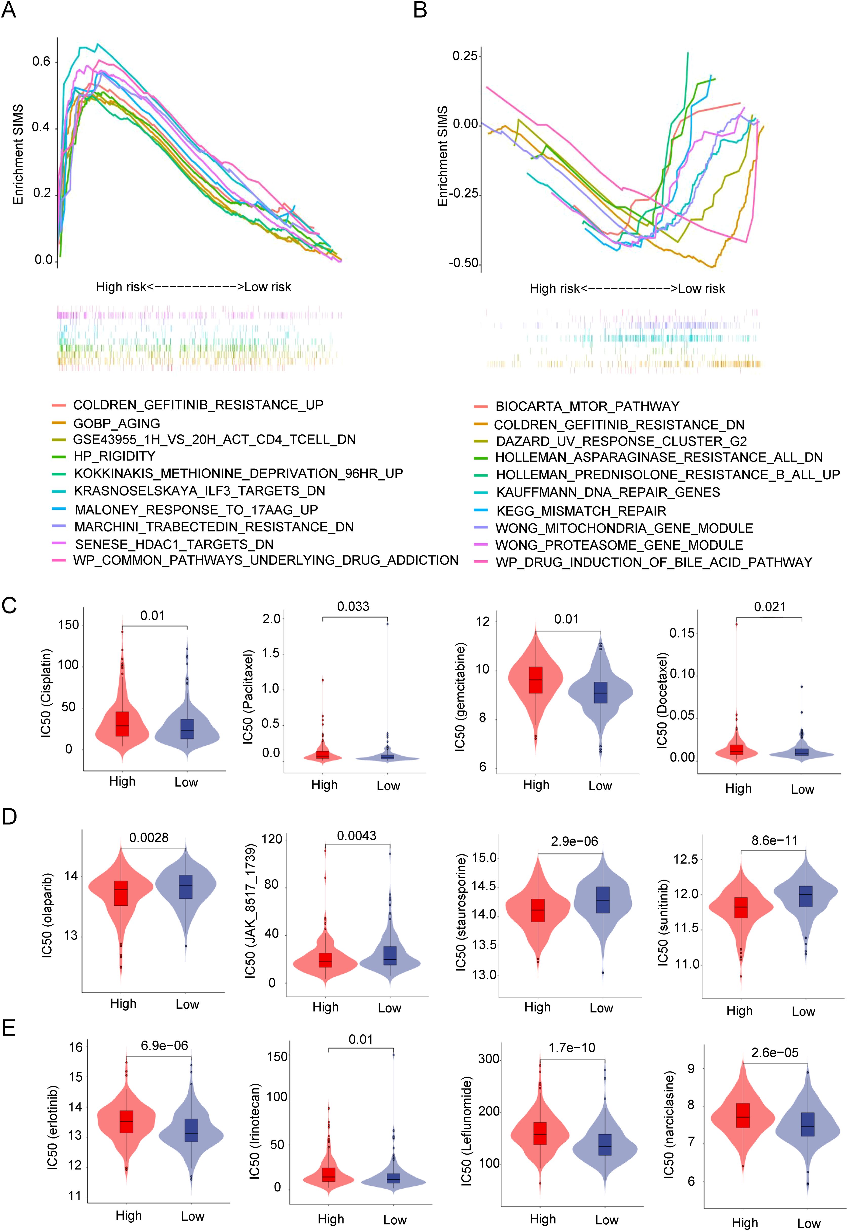 Graphs depicting gene enrichment and IC50 analyses. Graphs A and B show enrichment for various gene sets, with curves representing high to low risk. Each line color corresponds to a specific gene pathway listed below the graphs. Graphs C, D, and E present violin plots of IC50 values for different drugs across high and low-risk groups. Each plot includes p-values indicating statistical significance.