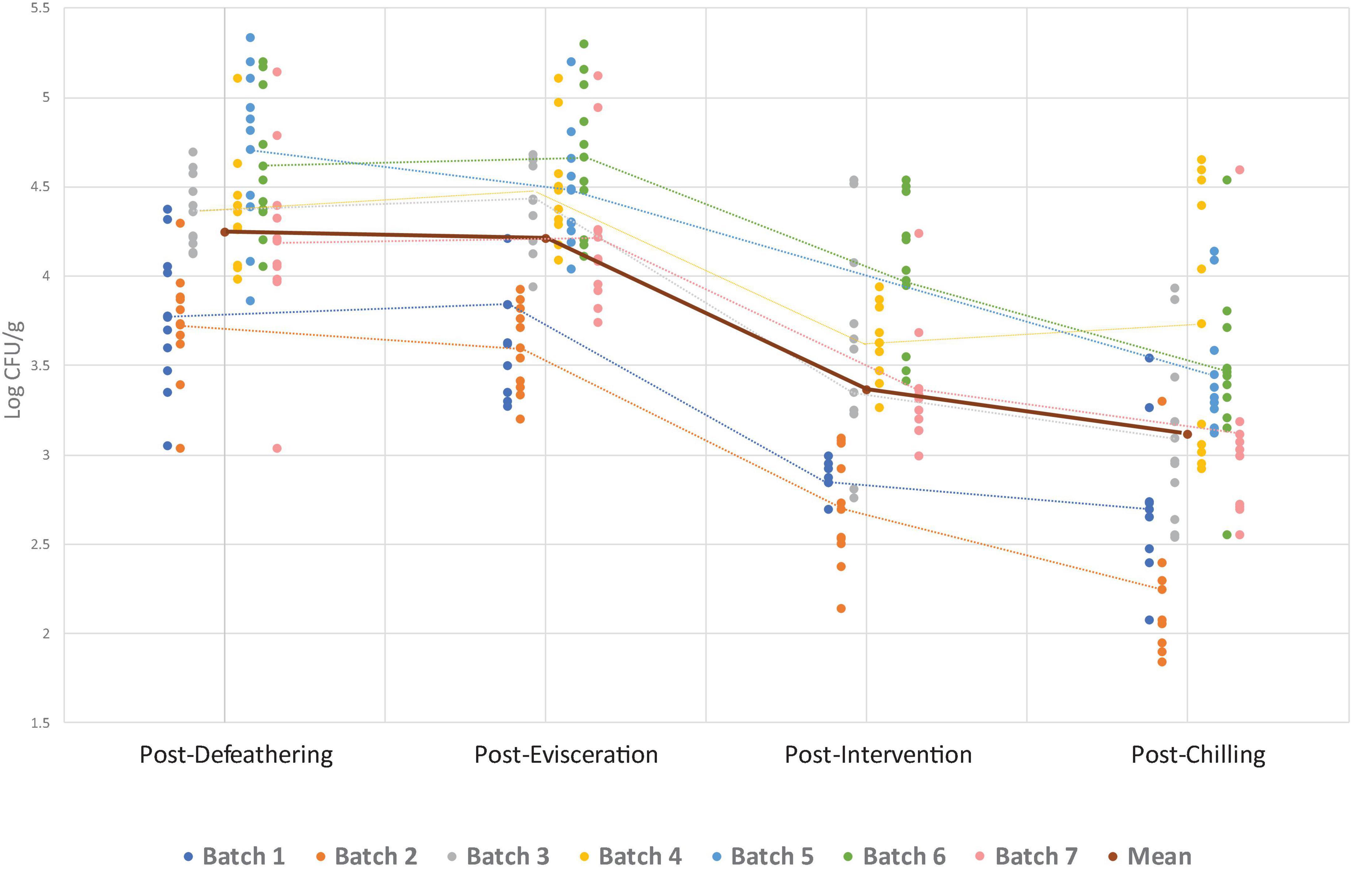 Line graph depicting Campylobacter counts in log CFU per gram across four stages: post-defeathering, post-evisceration, post-intervention, and post-chilling. Different colored lines represent seven batches and the mean, showing a general decrease in CFU across stages.