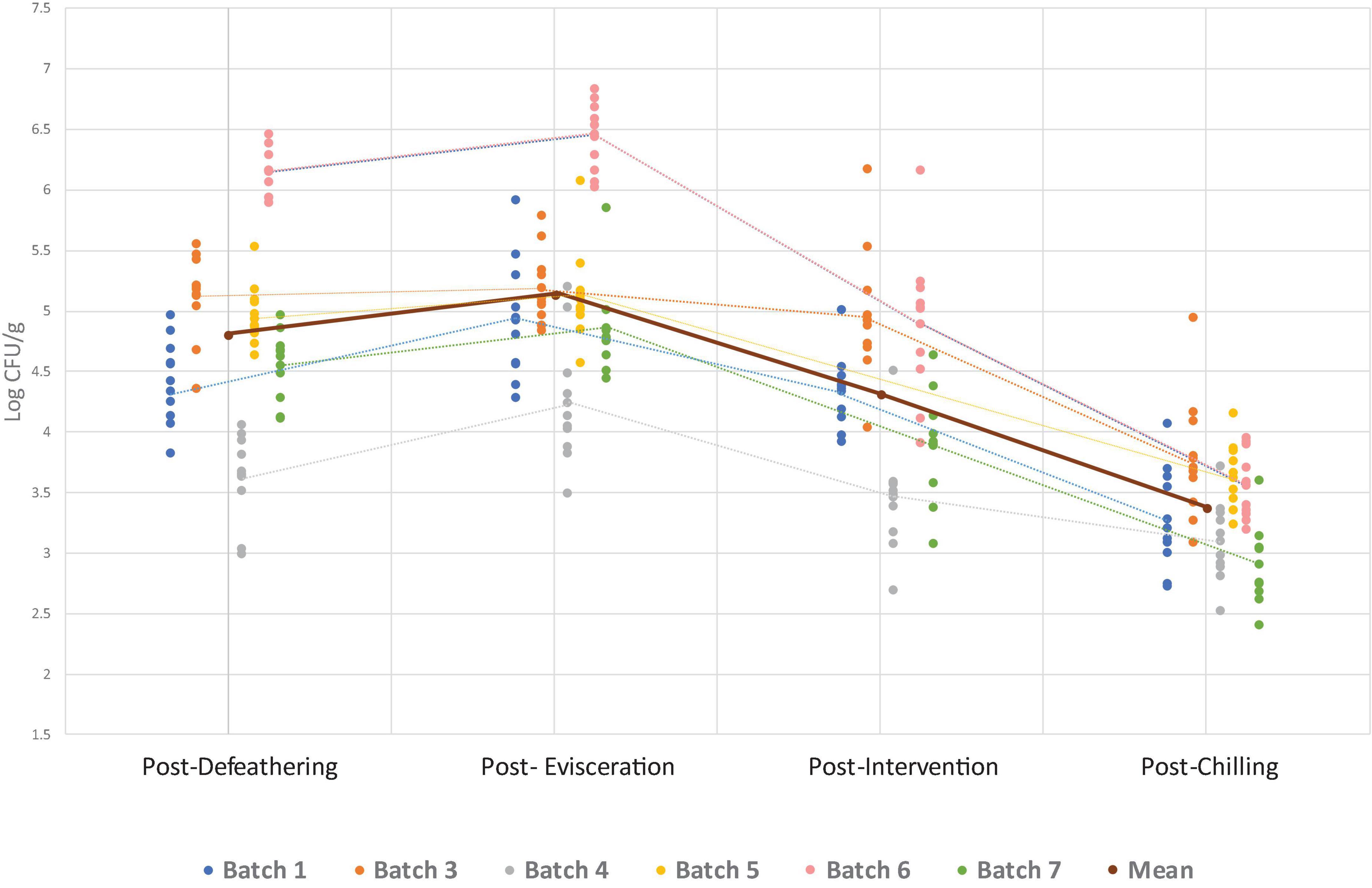 Scatter plot showing Enterobacteriaceae counts (Log CFU/g) across processing stages: Post-Defeathering, Post-Evisceration, Post-Intervention, and Post-Chilling. Multiple colored plots represent batches with a brown line indicating the mean trend, showing a general decrease in bacterial counts through the process.