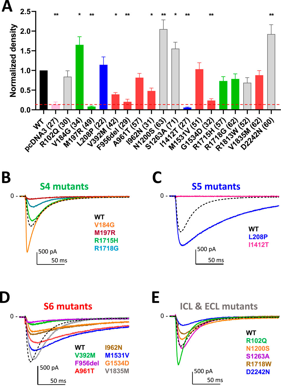 Bar and line graphs showing the effects of various mutants on normalized density and current response. A) Bar graph of normalized density for different mutants, with significant differences marked by asterisks. B-E) Line graphs displaying current responses of S4, S5, S6, and ICL & ECL mutants compared to wild type. Each graph includes a legend identifying colors for different mutants and axes indicating current (pA) and time (ms).
