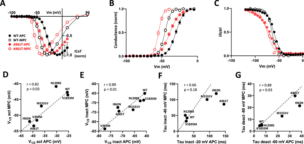 Graphs labeled A to G show various electrophysiological properties. A displays current-voltage relationships with legend indicating wild-type (WT) and A961T variants. B and C illustrate conductance and normalized current in relation to voltage, respectively. D to G present scatter plots showing relationships between APC and MPC conditions for activation and inactivation kinetics, with specific mutations labeled. Correlation coefficients and significance values are included in some graphs.