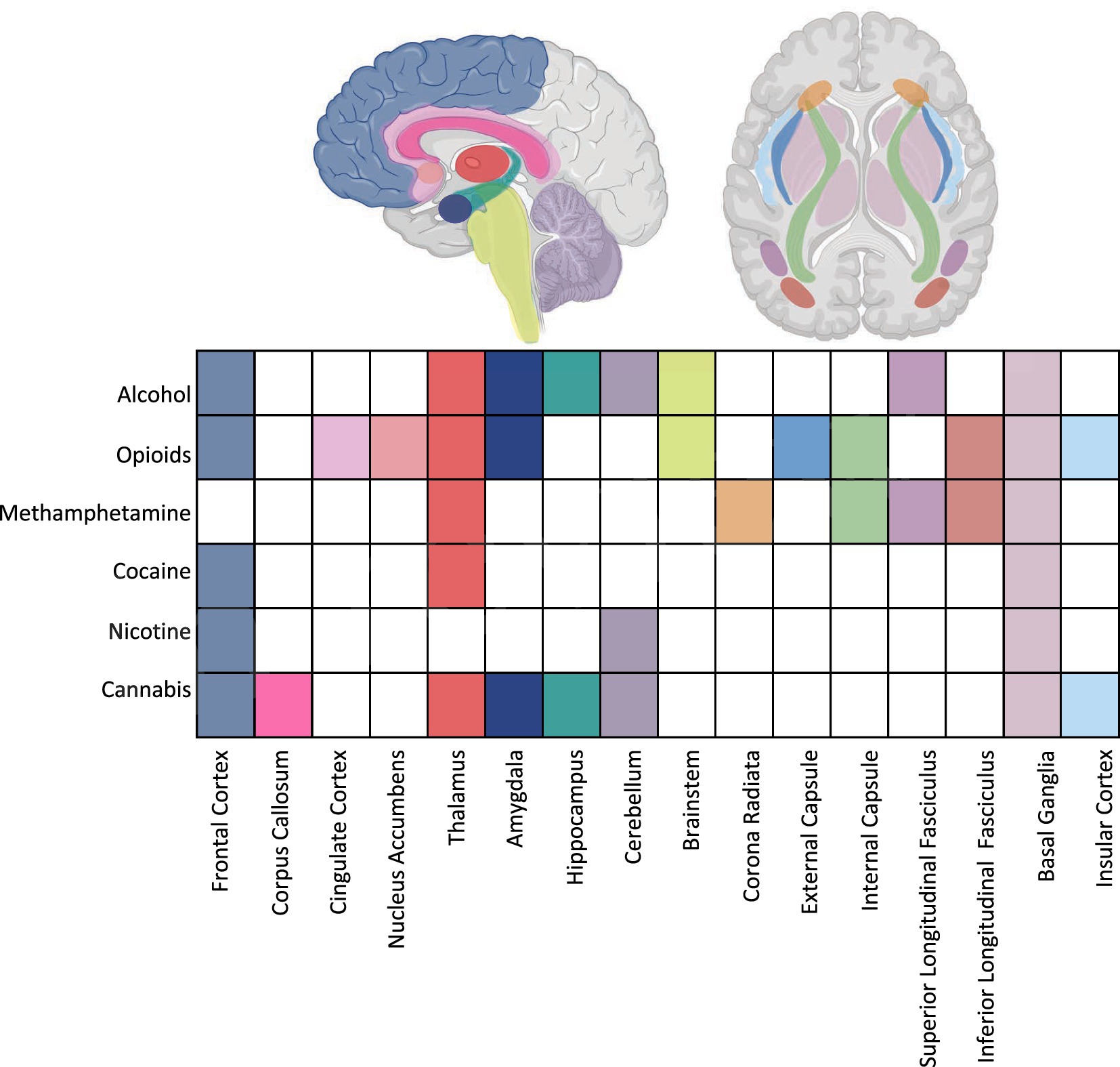 Illustration of a human brain with color-coded brain regions affected by different substances. A chart below correlates substances like alcohol, opioids, methamphetamine, cocaine, nicotine, and cannabis with specific brain areas, including the frontal cortex, nucleus accumbens, thalamus, amygdala, and others. Each substance shows varying impacts on these regions through colored squares.