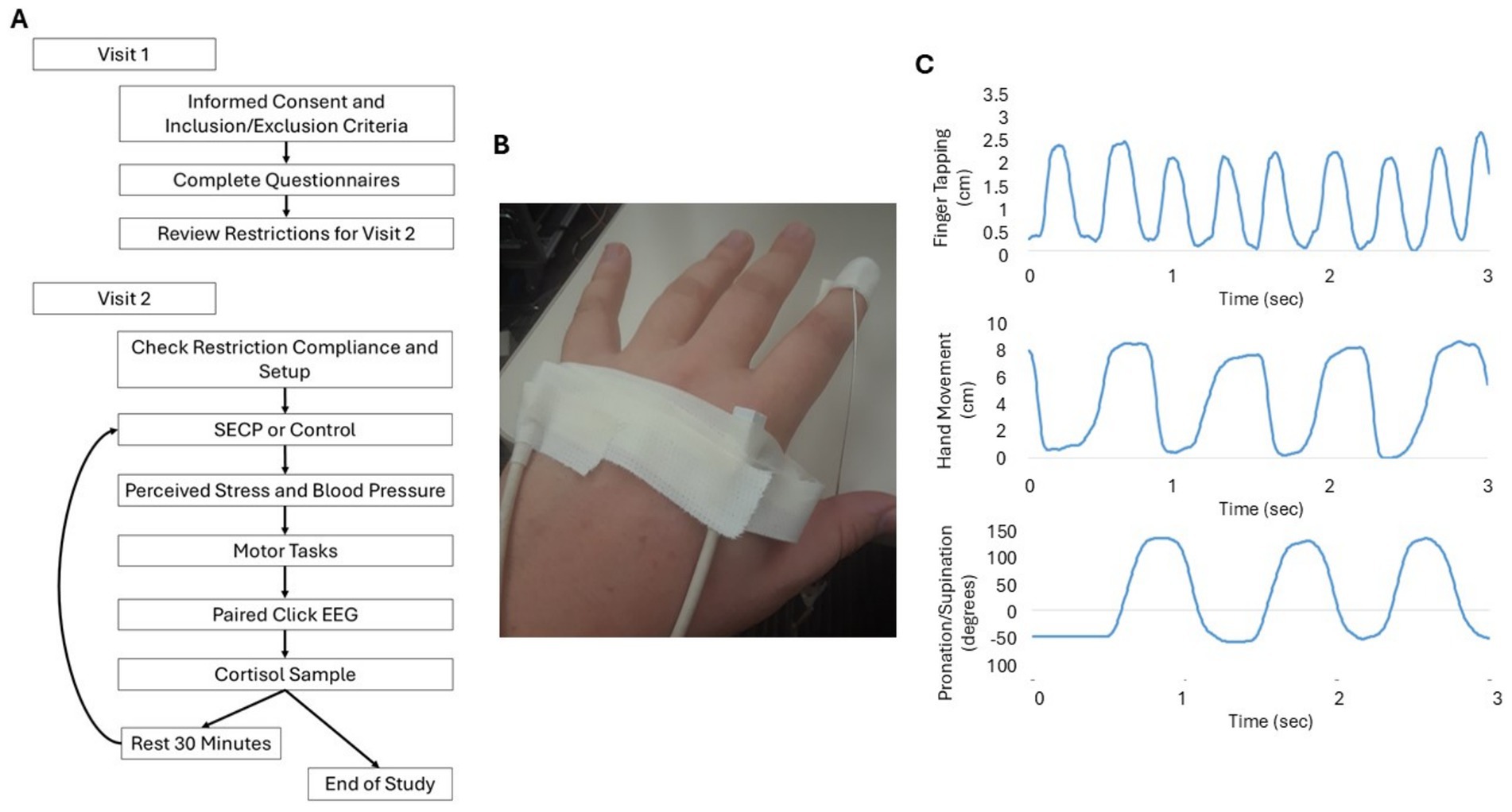 Flowchart labeled A depicts the sequence of two visits in a study, including steps from informed consent to cortisol sampling. Image B shows a hand with electrodes and bandages. Graphs labeled C display finger tapping, hand movement, and pronation/supination over time, with periodic wave patterns for each activity.