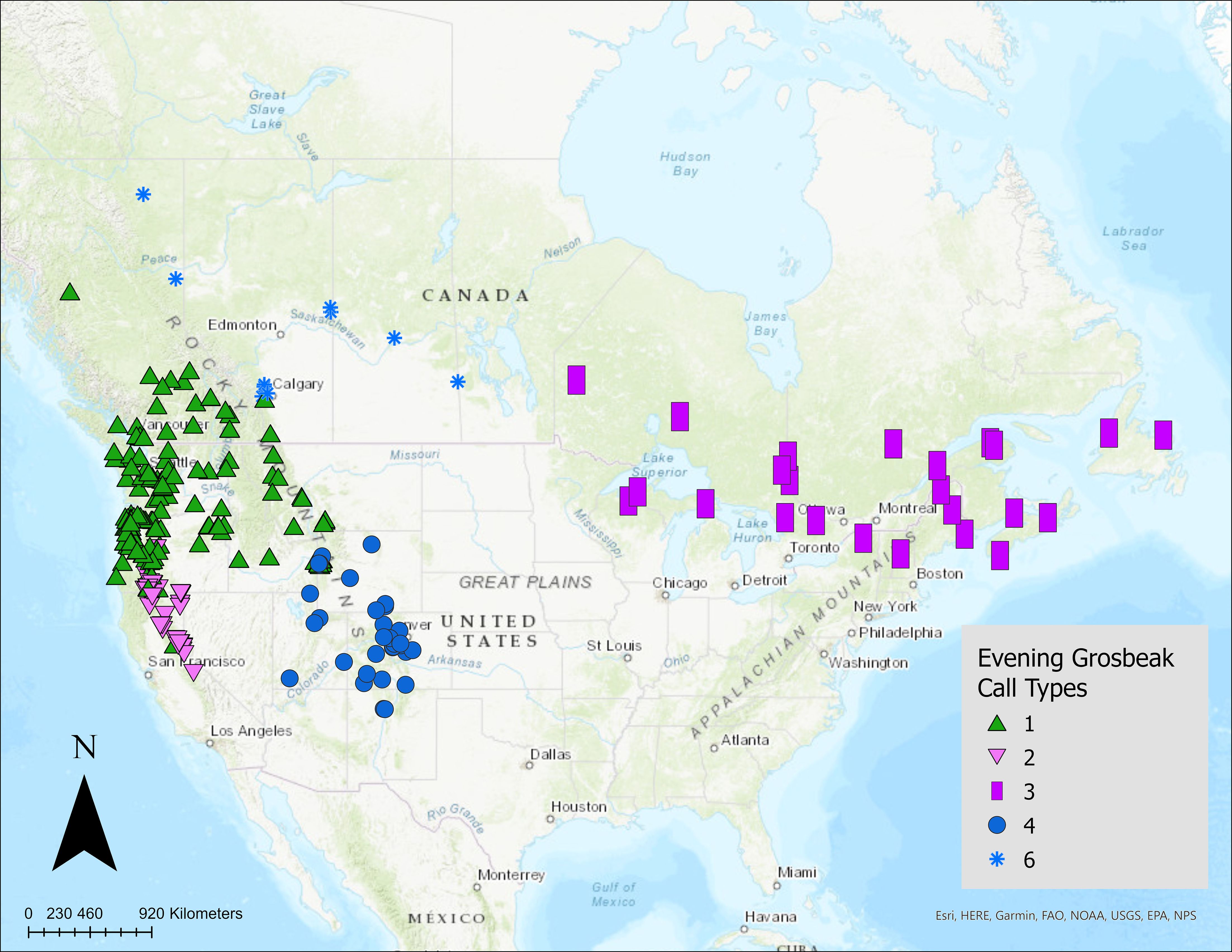 Map of North America showing distribution of Evening Grosbeak call types. Green triangles indicate type 1 in the northwest, pink triangles for type 2 in the west, blue circles represent type 3 in central areas, and light blue stars for type 6 in Canada. Purple squares denote type 4 in eastern regions. A scale bar in the bottom-left corner measures distances in kilometers.
