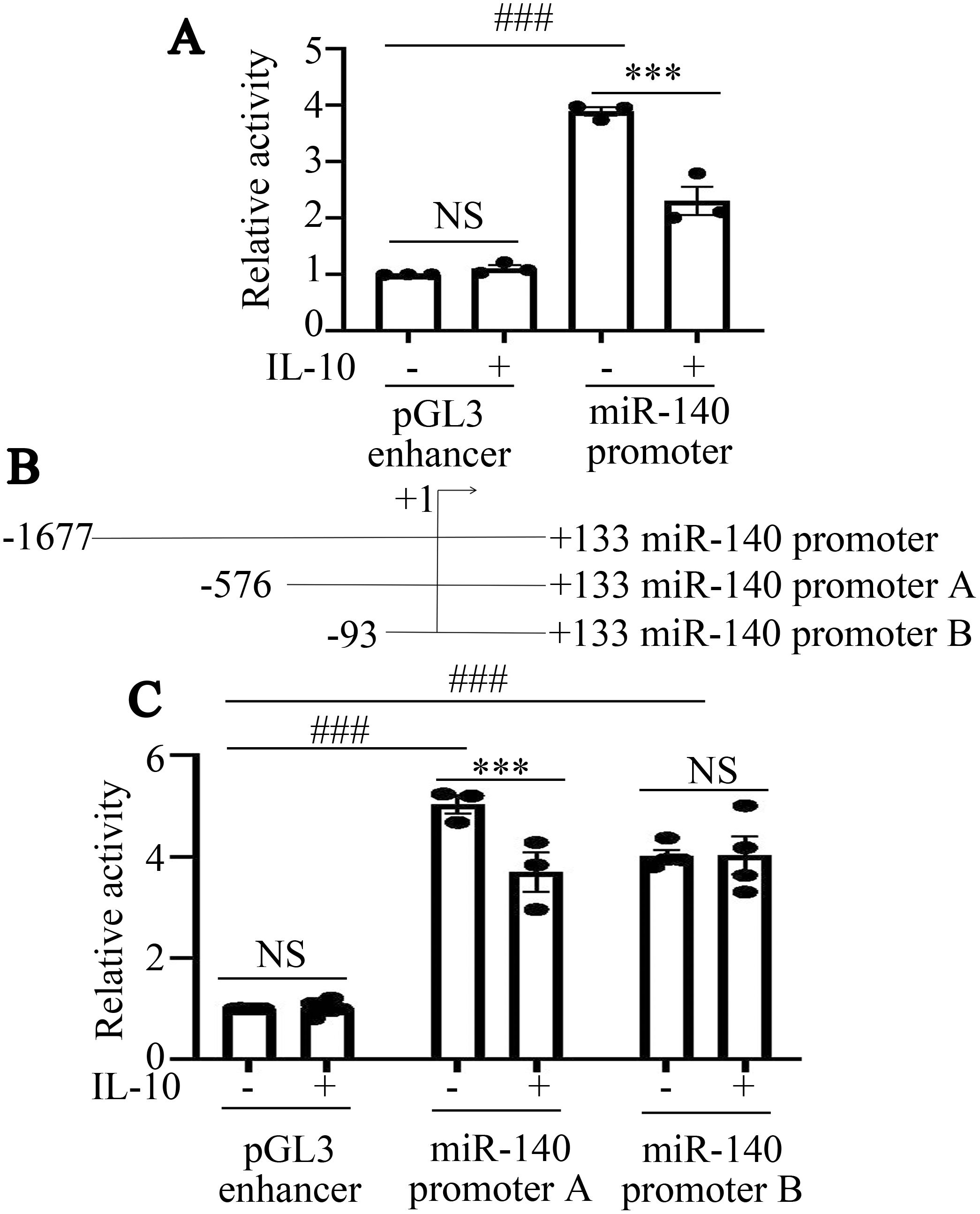 Bar graphs labeled A and C depict relative activity of a pGL3 enhancer and miR-140 promoters with IL-10 presence. Significant results noted by asterisks and hashtags. Graph B shows positions of miR-140 promoters.