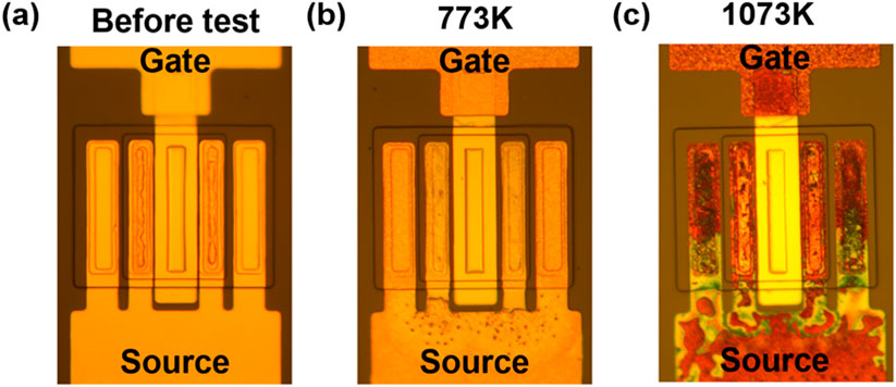 Three panels show a microchip with