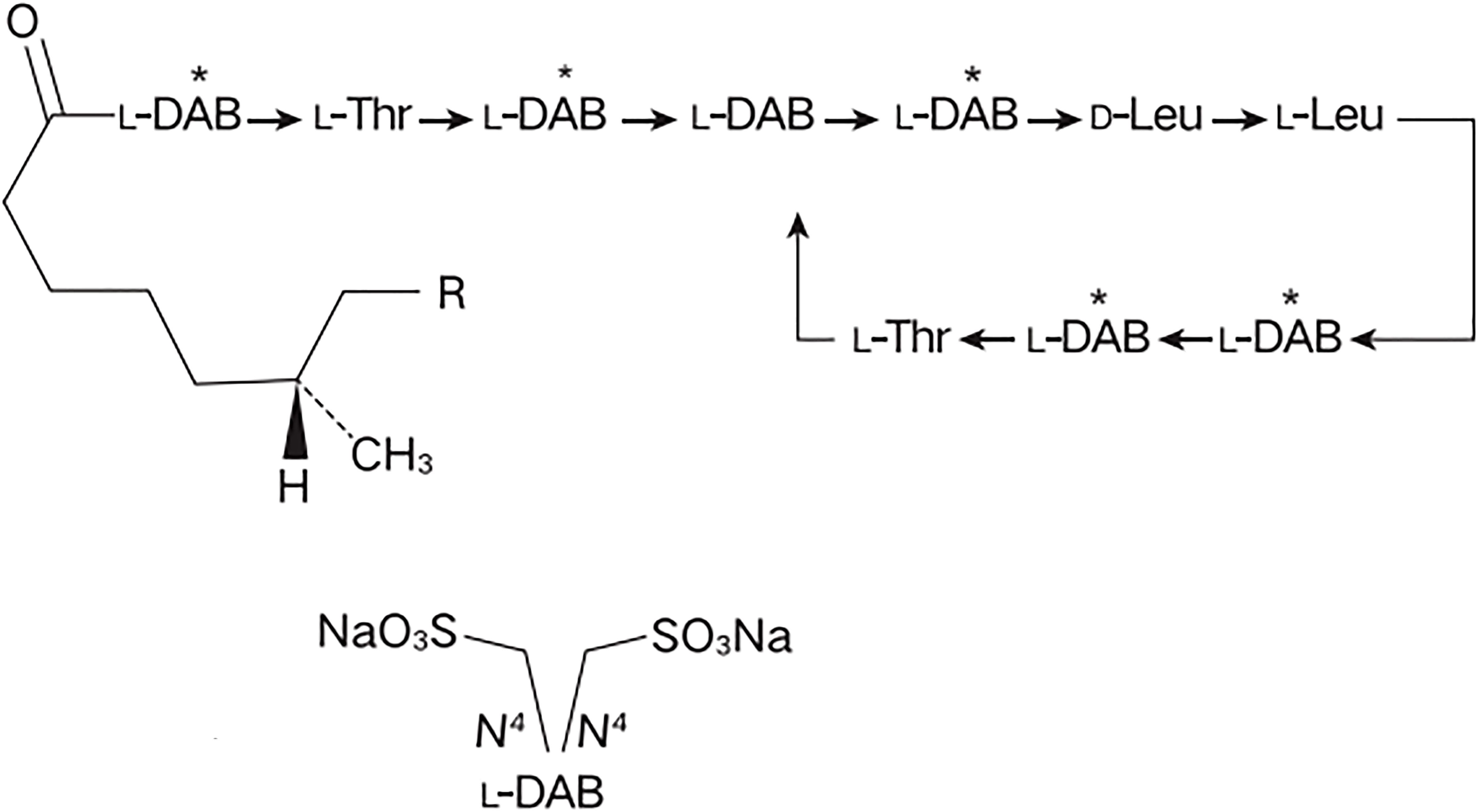 Chemical structure of a cyclic peptide compound. It shows a complex arrangement including L-Thr, L-DAB, D-Leu, and L-Leu residues. Additional side groups include a CH3 attached to a carbon and a branch containing NaO3S linked to N4 of L-DAB.
