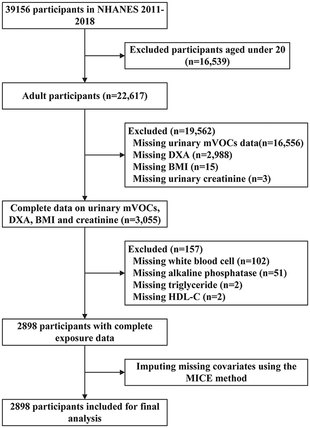 Flowchart depicting participant selection in the NHANES 2011-2018 study. Initially, 39,156 participants were considered. Exclusions: under 20 years (16,539), missing urinary mVOCs data (16,556), DXA (2,988), BMI (15), and urinary creatinine (3). Of 3,055 with complete data, 157 were further excluded for missing white blood cell (102), alkaline phosphatase (51), triglyceride (2), and HDL-C (2). Finally, 2,898 participants were included using the MICE method for missing covariate imputation.