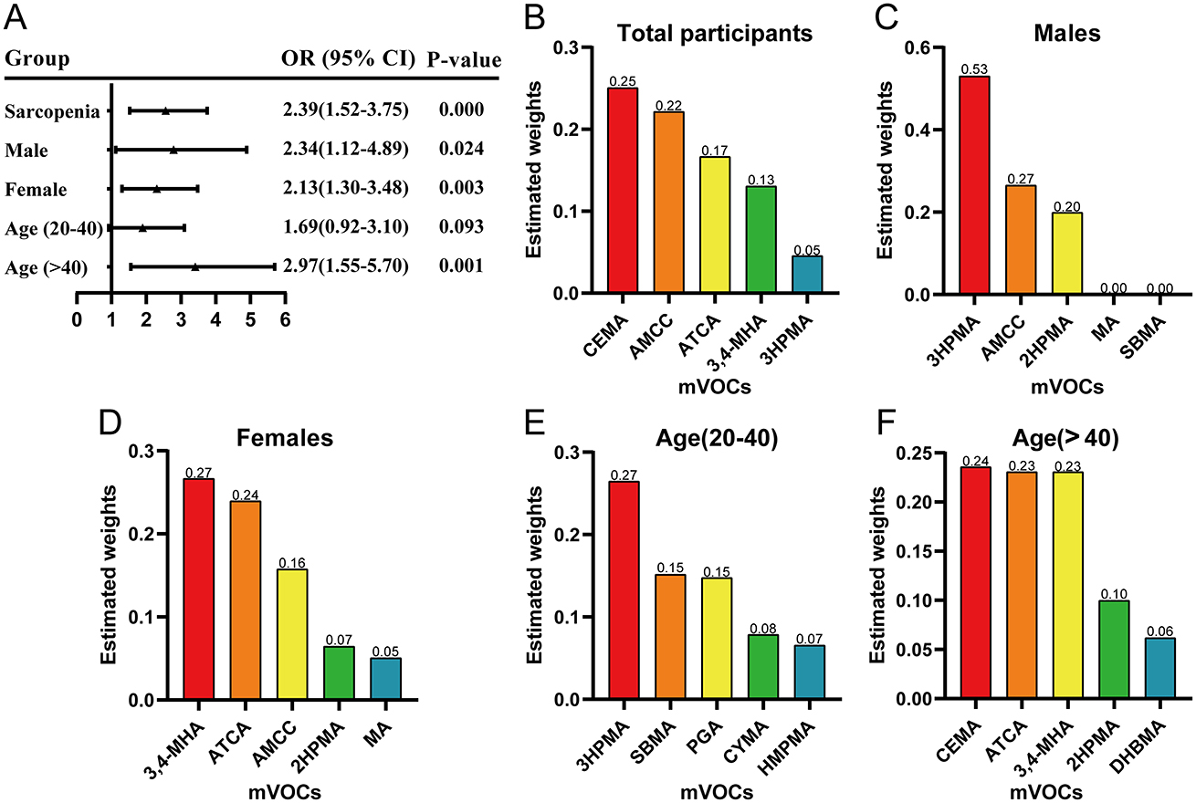 A multi-panel image shows graphs and a table related to sarcopenia analysis. Panel A is a table listing odds ratios (OR) and p-values for various groups: sarcopenia, male, female, age (21-30), and age (>40). Panels B to F display bar graphs of estimated weights for different chemical components across categories: total participants, males, females, ages 20-40, and age over 40. Bars are colored differently for components like CEMA, AMC, and others, with weights indicated above each bar.