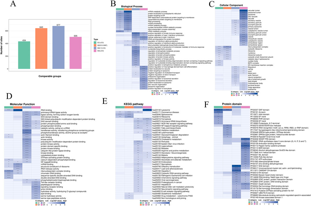 Bar graph and heatmaps depicting various data analyses. Graph A shows the number of sites across comparable groups. Heatmaps B to F illustrate biological processes, cellular components, molecular functions, KEGG pathways, and protein domains, respectively. Color gradients represent data values, with legends indicating significance across different categories.