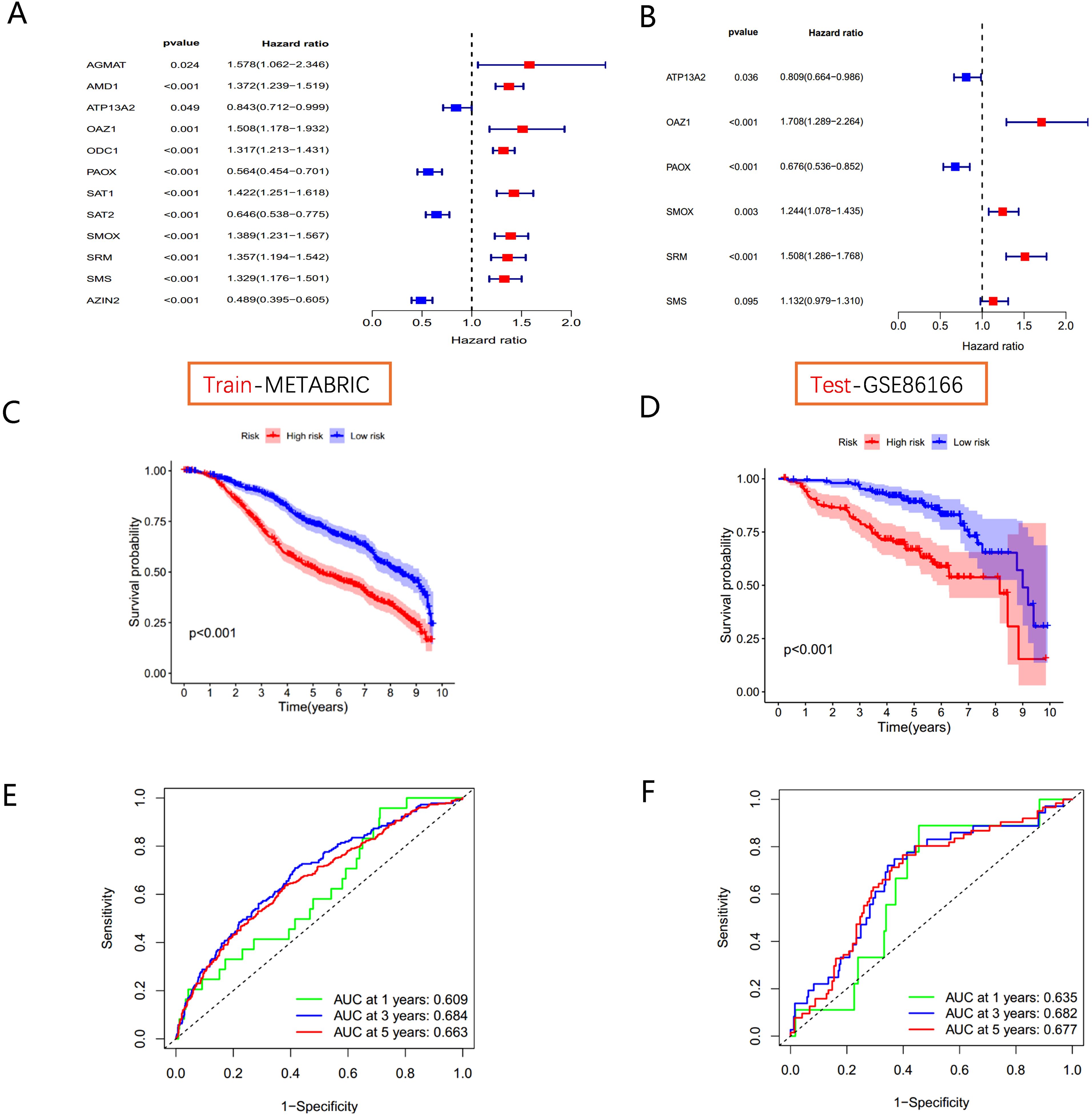 Panel A shows a forest plot of hazard ratios for various genes in the METABRIC dataset, emphasizing significant p-values. Panel B presents a similar plot for the GSE86166 dataset. Panel C and D depict Kaplan-Meier survival curves, contrasting high and low-risk groups in the METABRIC and GSE86166 datasets, respectively, with significant p-values. Panels E and F display ROC curves for the METABRIC and GSE86166 datasets with AUC values at one, three, and five years.
