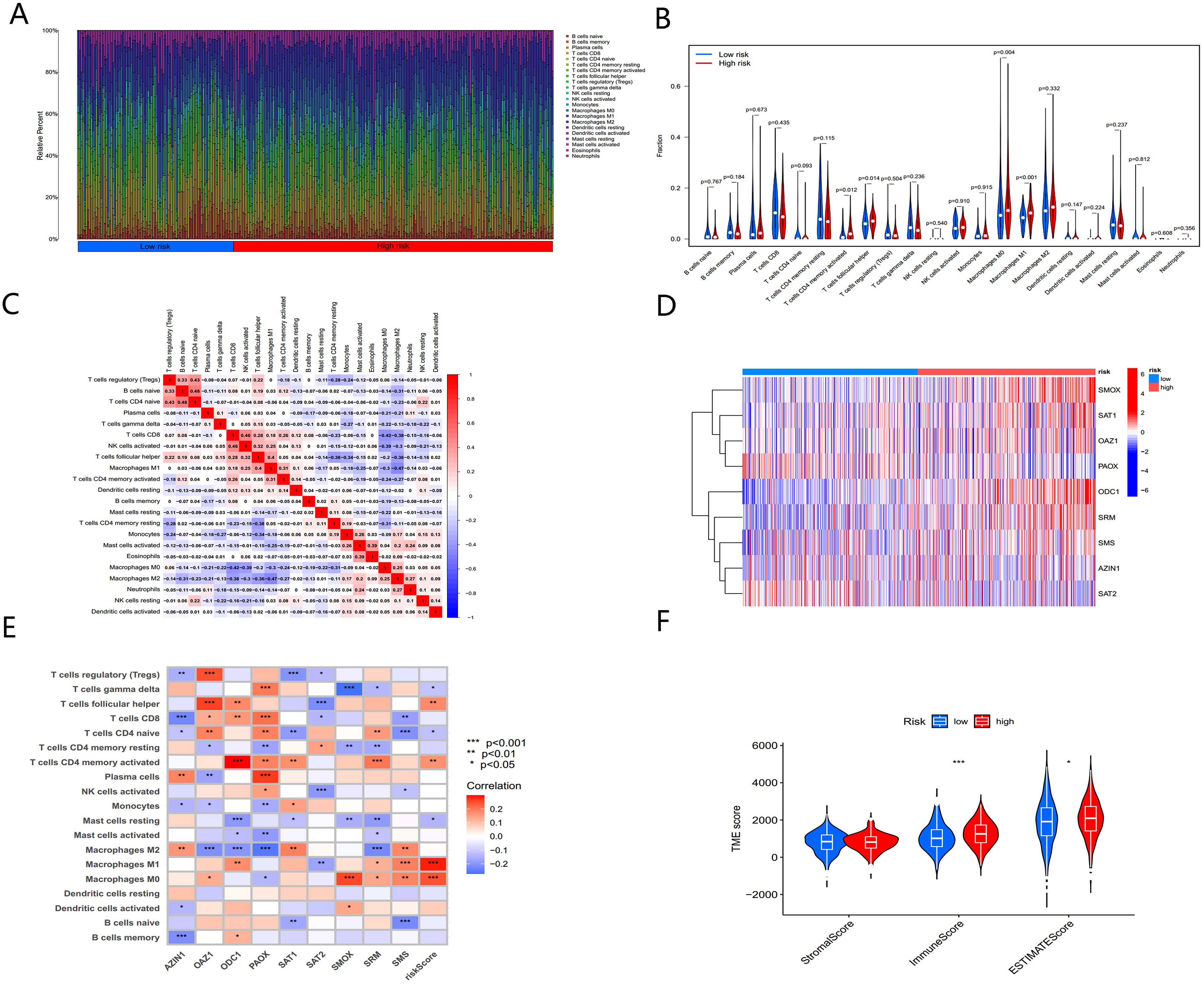 A: Stacked bar graph showing relative abundance of cell types in low and high risk groups. B: Violin plot comparing cell proportions in risk groups, with p-values annotated. C: Correlation heatmap of immune cell interactions with varying degrees of correlation. D: Heatmap of gene expression clustering by risk, with color gradient indicating expression levels. E: Heatmap displaying correlation between gene expression and immune cell types, marked with significance levels. F: Violin plots comparing StromalScore, ImmuneScore, and ESTIMATEScore between low and high risk groups, with significant differences marked.