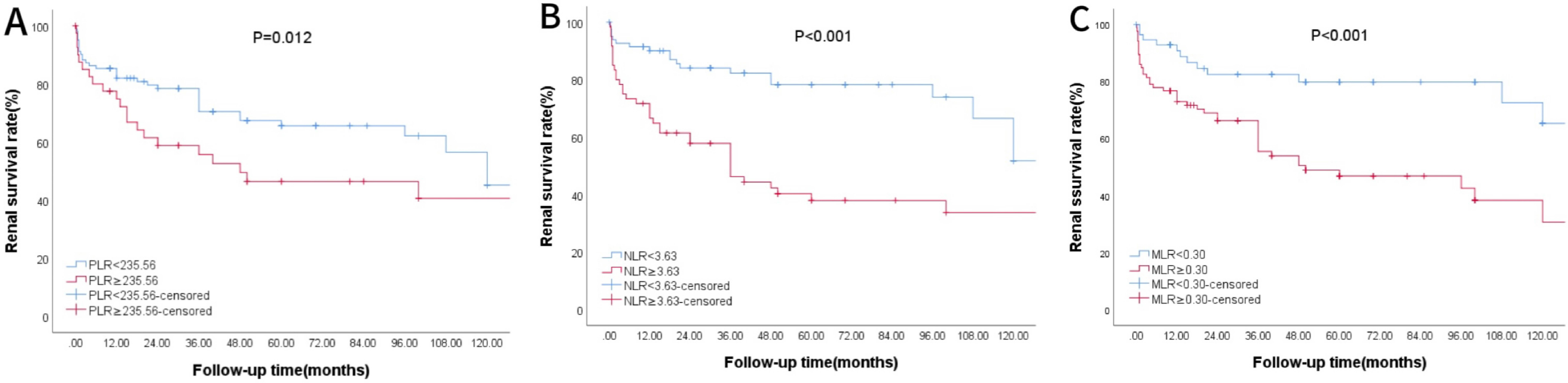Three Kaplan-Meier survival curves show renal survival rates over time. Chart A compares PLR below and above 235.56, showing a significant difference at P=0.012. Chart B compares NLR below and above 3.63, showing a significant difference at P<0.001. Chart C compares MLR below and above 0.30, also showing a significant difference at P<0.001. In all charts, censored data is indicated with a plus symbol.