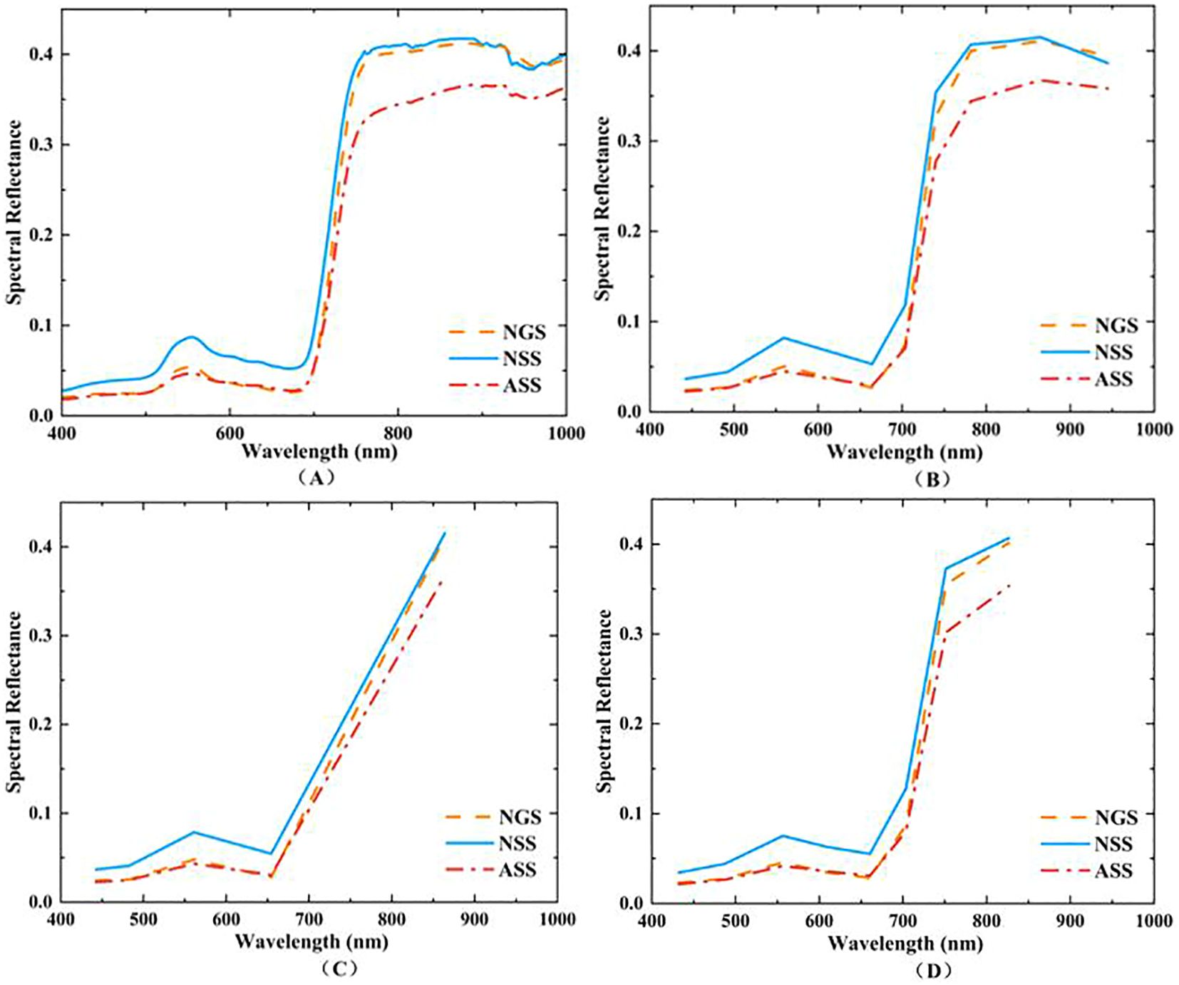 Four graphs labeled A, B, C, and D display spectral reflectance versus wavelength (400-1000 nm). Each graph compares three lines: NGS (orange dashed), NSS (blue solid), and ASS (red dot-dashed). All lines show a significant increase in reflectance between 700 and 800 nm, stabilizing around 0.4 reflectance.