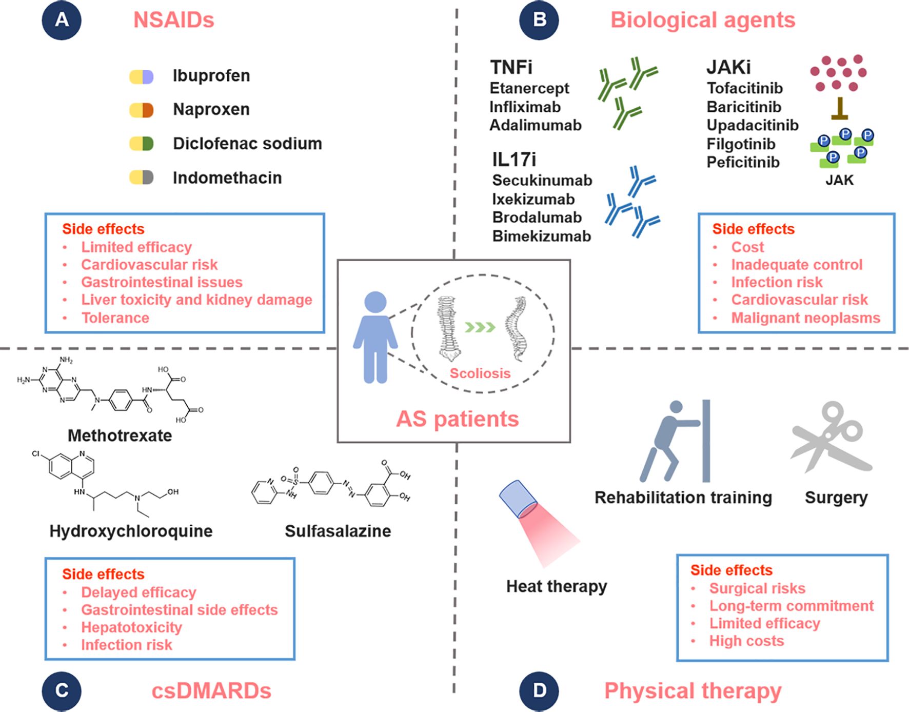 Flowchart categorizing treatments for AS patients. Section A: NSAIDs include Ibuprofen, Naproxen, Diclofenac sodium, Indomethacin with side effects like cardiovascular risk. Section B: Biological agents such as TNFi and JAKi with side effects including infection risk. Section C: csDMARDs like Methotrexate, Hydroxychloroquine with gastrointestinal side effects. Section D: Physical therapy covers rehabilitation, heat therapy, surgery, with side effects like surgical risks. Central image depicts a person with scoliosis.