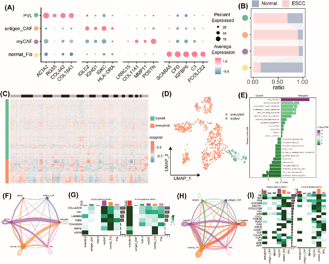 (A) Dot plot showing gene expression levels across cell types, with dot size indicating percent expressed and color indicating average expression. (B) Bar chart comparing ratio of expression between normal and ESCC samples. (C) Heatmap displaying gene copy number variations, with colors representing different levels. (D) UMAP plot visualizing diploid and aneuploid samples. (E) Bar graph of significant genes in diploid versus aneuploid samples. (F) Network diagram of cell type interactions. (G) Heatmap indicating collagen gene expression in different cell types. (H) Network diagram of genomic interactions. (I) Heatmap of gene expression patterns across cell types, highlighting significant differences.