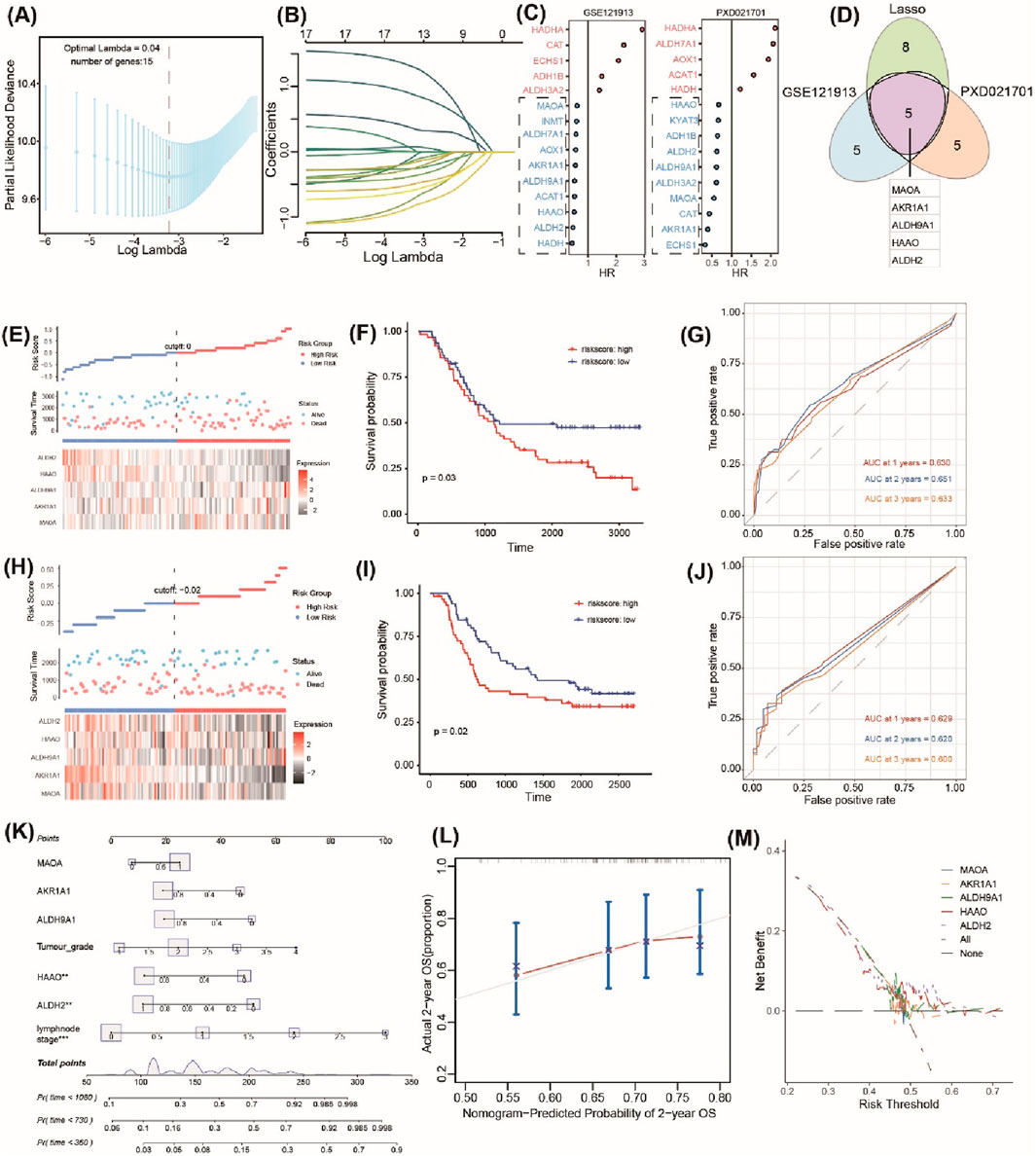 A series of panels depicting statistical and bioinformatics analyses. Panel A shows a plot of partial likelihood deviance versus log lambda, highlighting an optimal lambda. Panel B displays a plot of coefficients against log lambda. Panel C presents hazard ratio plots for two datasets (GSE121913 and PXD021701) showing specific gene associations. Panel D is a Venn diagram of overlapping genes in different datasets. Panels E and H show expression heat maps and risk group survival plots. Panels F and I illustrate Kaplan-Meier survival curves for high and low-risk groups. Panels G and J depict ROC curves at various years. Panel K displays a nomogram for predicting outcomes. Panel L shows calibration, and Panel M is a decision curve analysis plot.