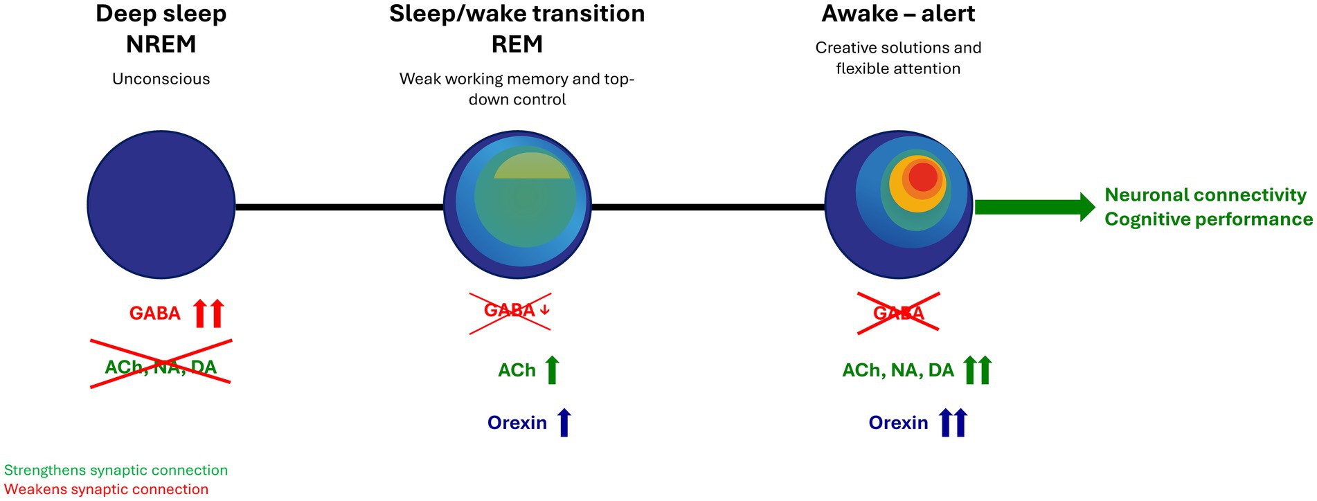Diagram illustrating three stages: