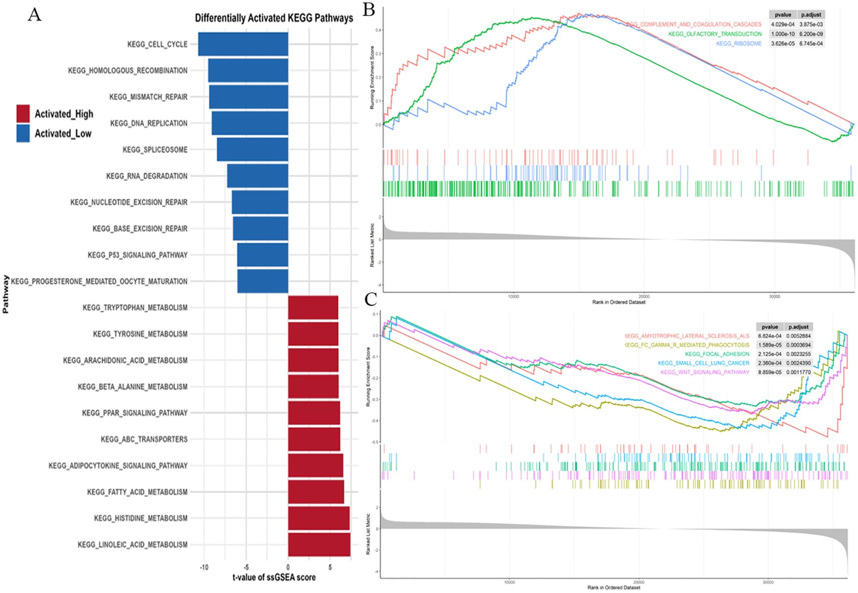 Three-panel figure displaying KEGG pathway analysis. Panel A: Bar graph showing differentially activated pathways with red (activated high) and blue (activated low) bars. Panels B and C: Line graphs with enrichment scores for various pathways, displaying ranked dataset positions. Each graph includes color-coded lines and annotations for p-values with pathways.