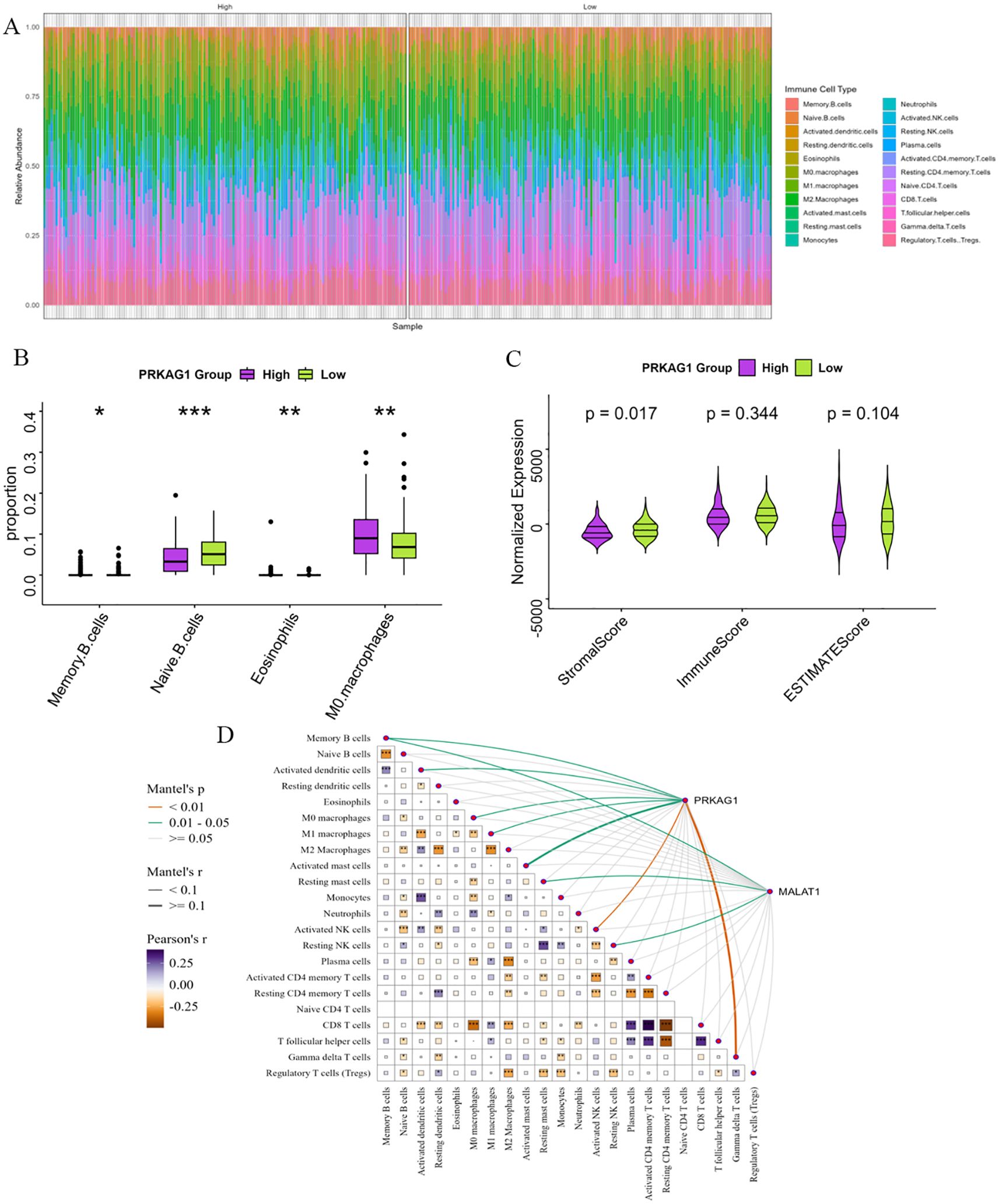 Panel A displays a stacked bar chart illustrating immune cell proportions across samples labeled as high or low PRKAG1 groups. Panel B shows box plots comparing cell proportions, with significant differences indicated by asterisks. Panel C presents violin plots of normalized expression across stromal, immune, and ESTIMATE scores, with specific p-values. Panel D features a correlation matrix with color coding and overlaying lines depicting associations, labeled with Mantel's r and Pearson's r values. Each graph visualizes data on immune infiltration and gene expression related to the PRKAG1 gene.