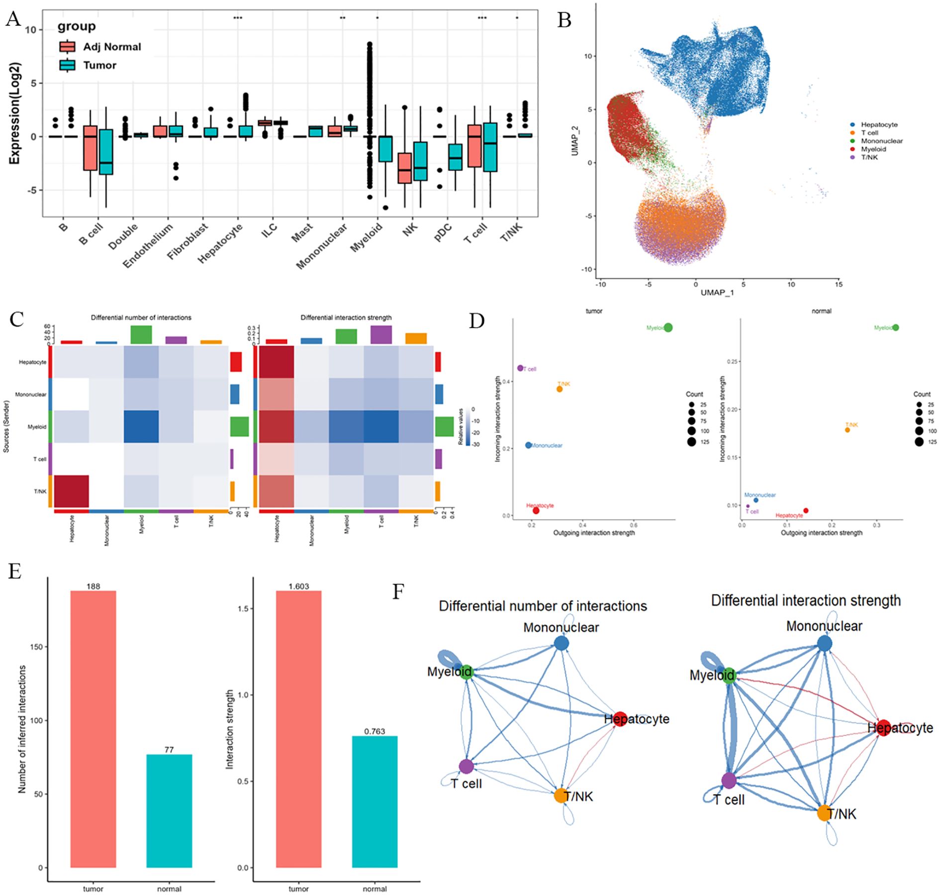 Composite image showing various data visualizations: (A) Box plots comparing Log2 expression levels between Adjacent Normal and Tumor groups across different cell types. (B) UMAP plot with clusters of cells colored by type. (C) Heatmaps illustrating differences in interactions and strengths among cell types. (D) Dot plots displaying differentially expressed genes, with size indicating expression level. (E) Bar charts comparing interaction numbers and strengths in different conditions. (F) Network diagrams depicting differential interactions and strengths among mononuclear cells, hepatocytes, myeloid, T cells, and NK cells.