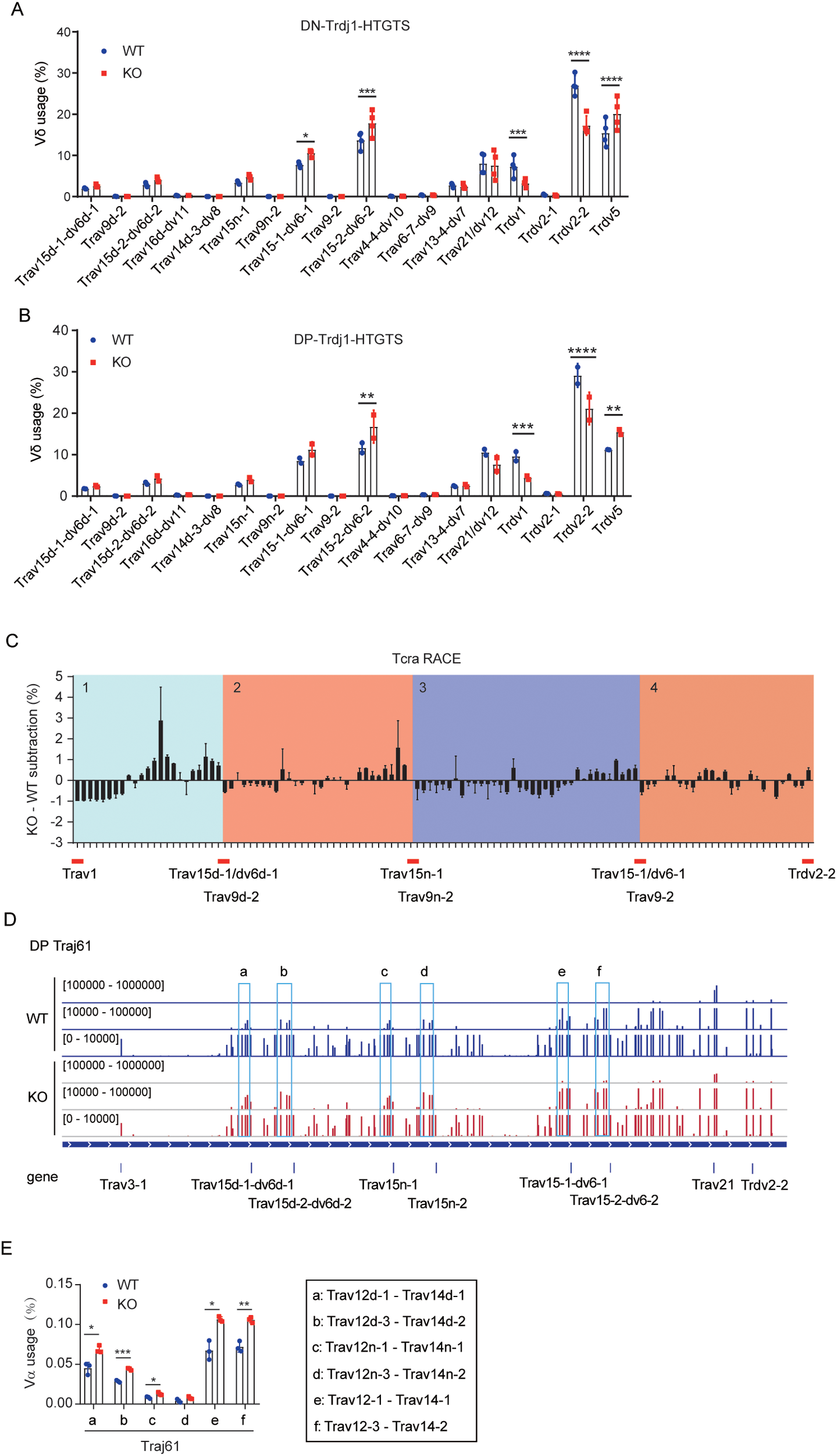 Graphs A and B show V gene usage percentages in DN-Trdj1-HTGTS and DP-Trdj1-HTGTS respectively, comparing WT (blue) and KO (red) groups. Significant differences are marked with asterisks. Graph C displays KO-WT subtraction percentages for Tcra RACE, indicating gene segments. Graph D shows DP Traj61 gene usage for WT and KO with aligned gene segments. Graph E presents V-J usage percentages linked to specific gene combinations, with asterisks denoting significance. WT and KO groups are compared across all graphs.