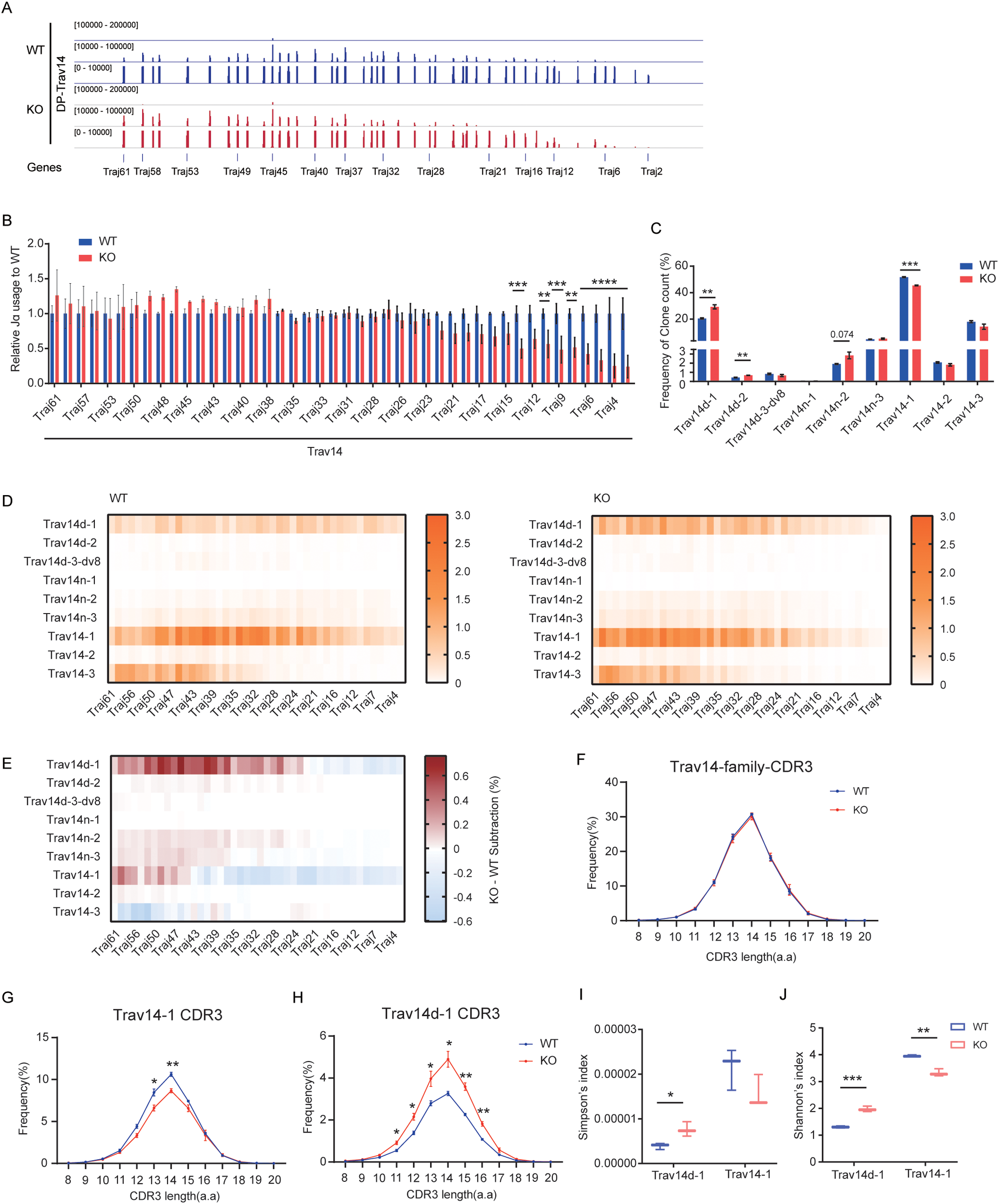 A series of graphs and heatmaps display gene and protein data comparing wild type (WT) and knockout (KO) groups. Panel A shows gene distribution across Traj segments. Panel B presents relative usage of the Trav14 gene, with significant differences indicated by asterisks. Panel C compares frequency of CDR3 sequence counts. Panels D and E feature heatmaps for CDR3 sequences, with color intensity indicating frequency and subtraction levels. Panel F graphs CDR3 length frequency for the Trav14 family. Panels G and H depict CDR3 length distributions for specific Trav14 variants. Panels I and J show Shannon's index for diversity comparison.