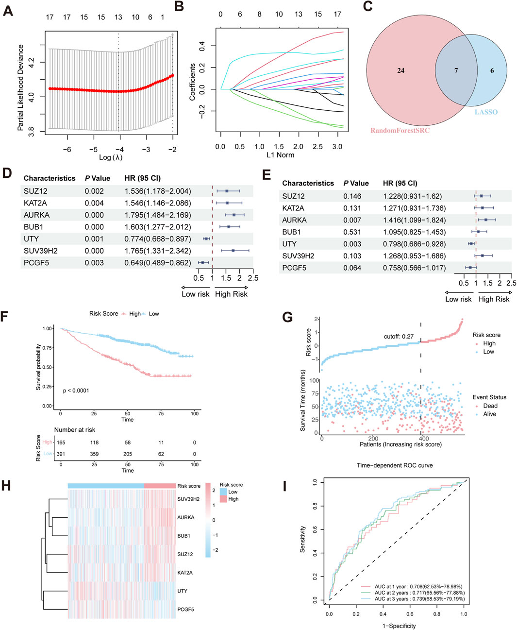 Figure shows the construction of the HRM prognostic risk model in MM. Panel A and B display LASSO Cox regression plots for variable selection. Panel C is a venn diagram displaying overlapping genes from LASSO and Random Forest analyses. Panel D and E show forest plots of univariate and multivariate Cox regression in the GSE24080 training cohort. Panel F display a Kaplan–Meier survival curve comparing high- and low-risk groups. Panel G shows risk score distribution and survival status of patients. Panel H is a heatmap displaying HRM-related gene expression related to risk scores. Panel I shows time-dependent ROC curves evaluating model performance.