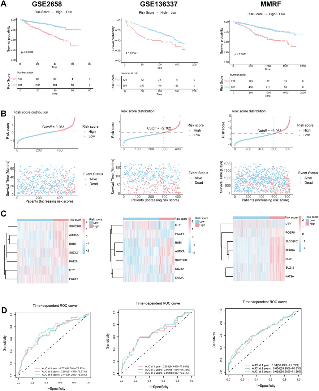 Three panels show data analysis related to risk scores and survival rates. Panel A features Kaplan-Meier plots for datasets GSE2658, GSE136337, and MMRF, illustrating survival probabilities with significant p-values. Panel B displays risk score distribution plots and scatter plots of survival time versus patients, highlighting risk score cutoffs and event status. Panel C consists of heatmaps for gene expression associated with risk scores across different datasets. Panel D presents time-dependent ROC curves for each dataset with AUC values at one, two, and three years, indicating model performance.