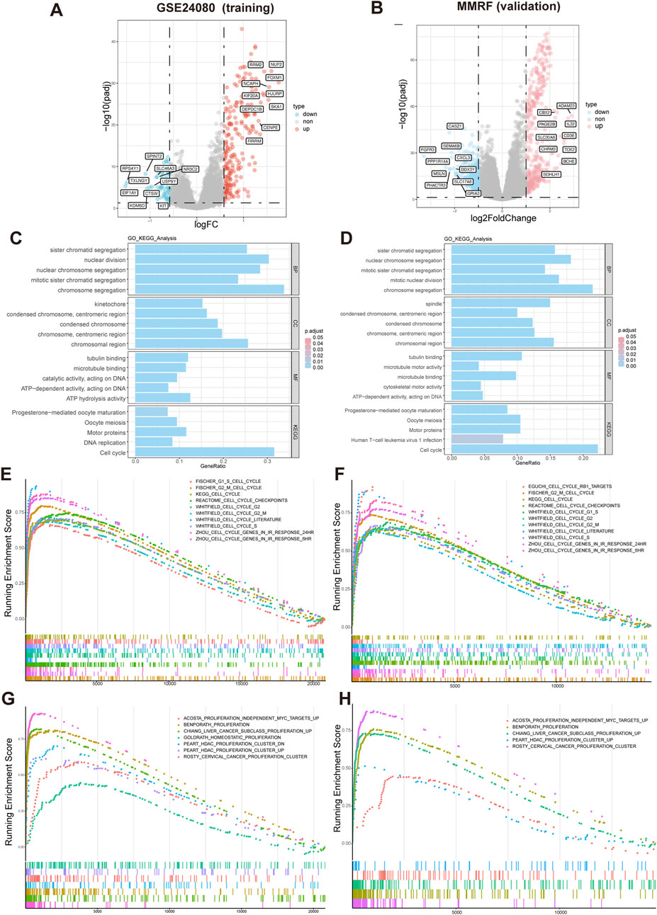 Volcano plots in panels A and B show gene expression changes in two datasets. Panels C and D display GO KEGG pathway analyses with bar graphs for different biological processes. Panels E to H are enrichment plots depicting running enrichment scores across gene sets, highlighting significant pathways and gene interactions.