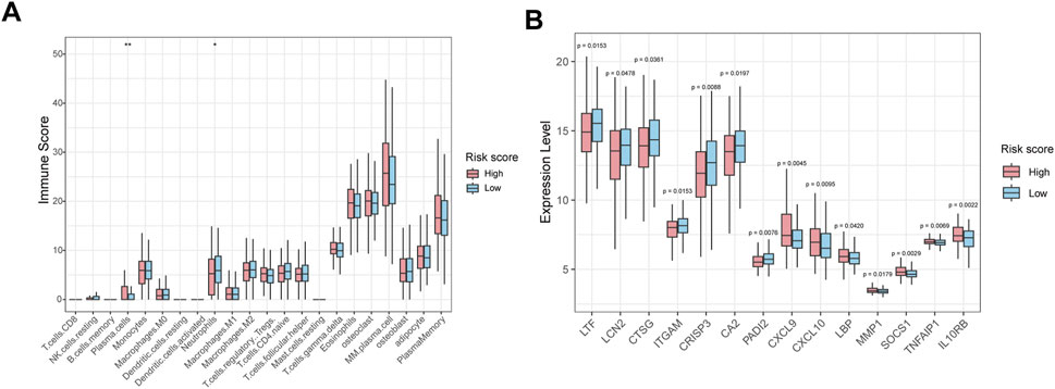 Panel A shows a box plot of immune scores for various cell types, comparing groups with high and low risk scores. Panel B displays expression levels of different genes, with significant p-values indicated, comparing high and low risk scores. Red boxes indicate high risk, and blue boxes indicate low risk.