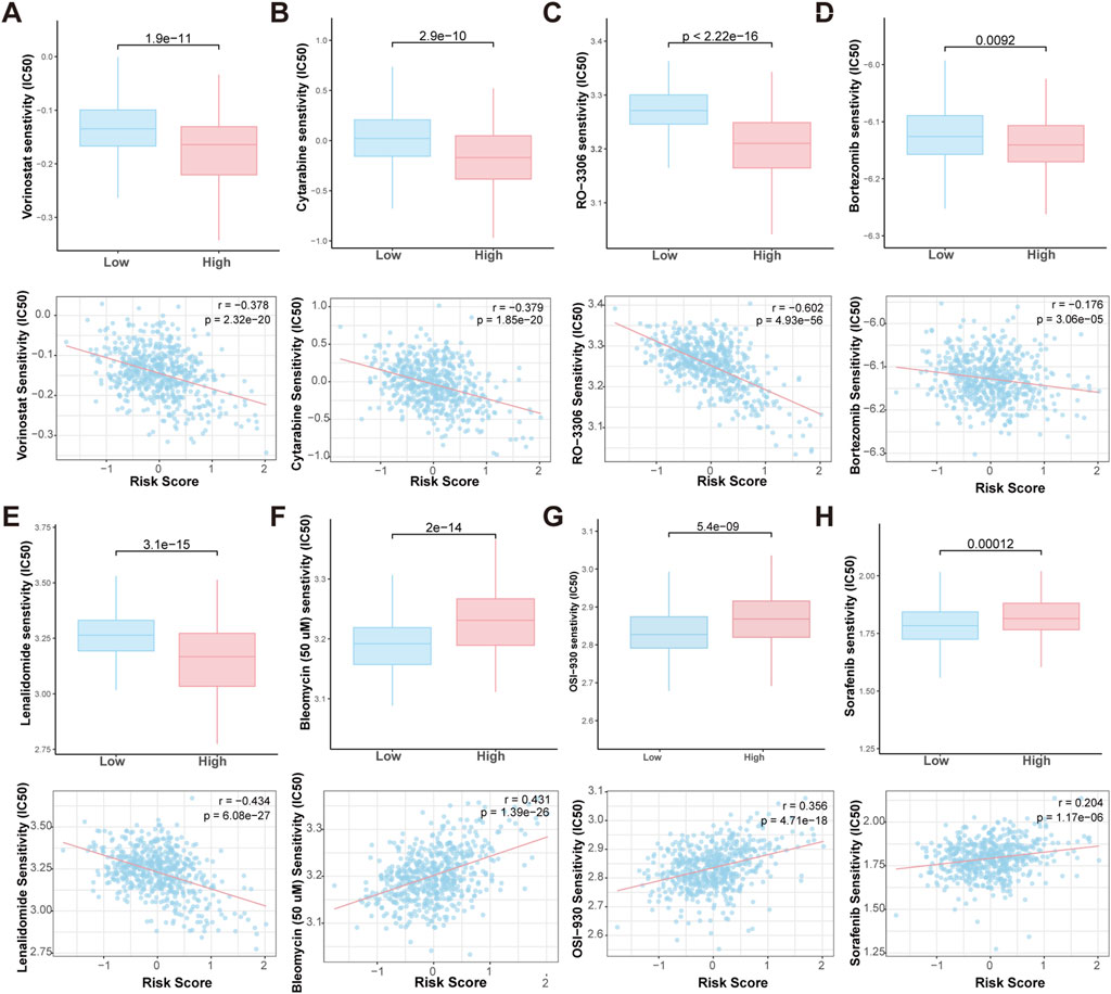 Eight panels labeled A to H display box plots and scatter plots examining drug sensitivity (IC50) versus risk scores. Box plots compare low and high-risk groups for different drugs, showing statistical significance (p-values). Scatter plots beneath each box plot illustrate correlations with risk scores, marked by correlation coefficients (r) and p-values. Each panel's data points are plotted with a regression line indicating trends, observed in various drugs such as Vorinostat, Cytarabine, RO-3306, Bortezomib, Lenalidomide, Bleomycin, OSI-930, and Sorafenib. The analyses reveal varying degrees of sensitivity in response to the risk scores.