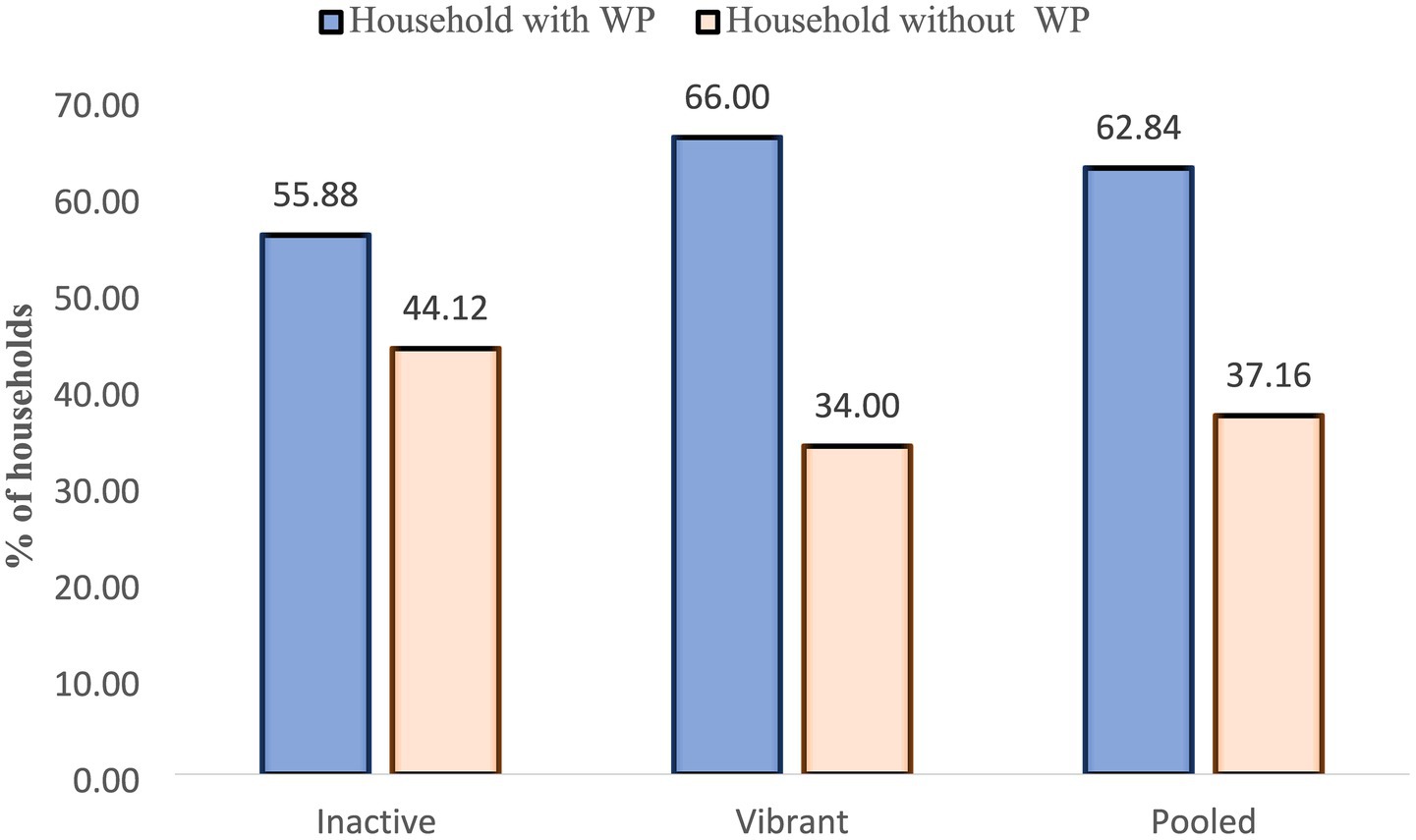 Bar chart showing the percentage of households with and without WP in three categories: Inactive, Vibrant, and Pooled. In the Inactive category, households with WP are 55.88% and without WP are 44.12%. In the Vibrant category, households with WP are 66.00% and without WP are 34.00%. In the Pooled category, households with WP are 62.84% and without WP are 37.16%.